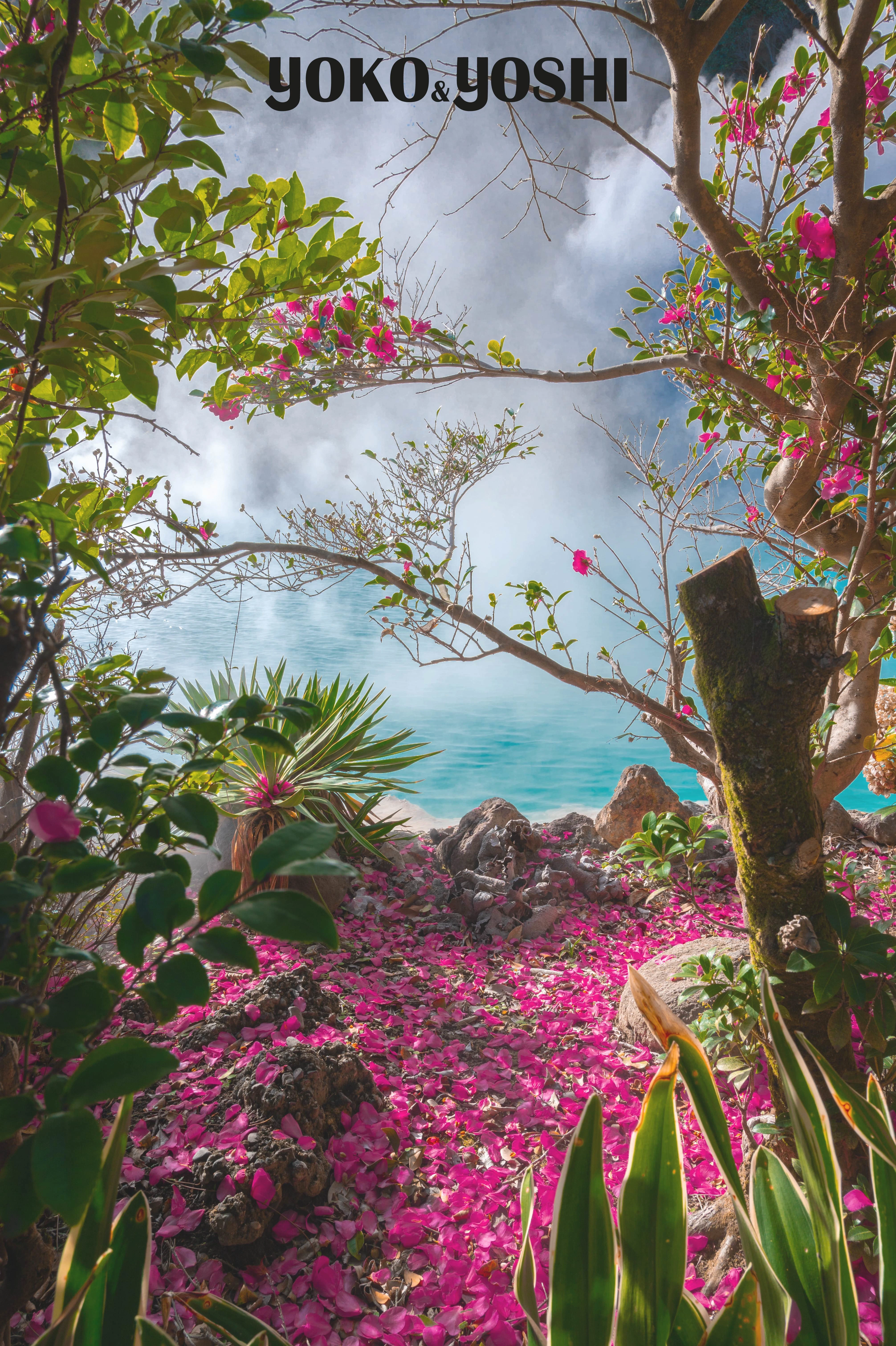 View on one of the pools and on beautiful pink tree.