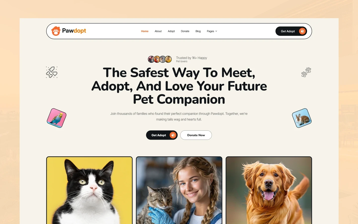 Pawdopt donate and get involved pages