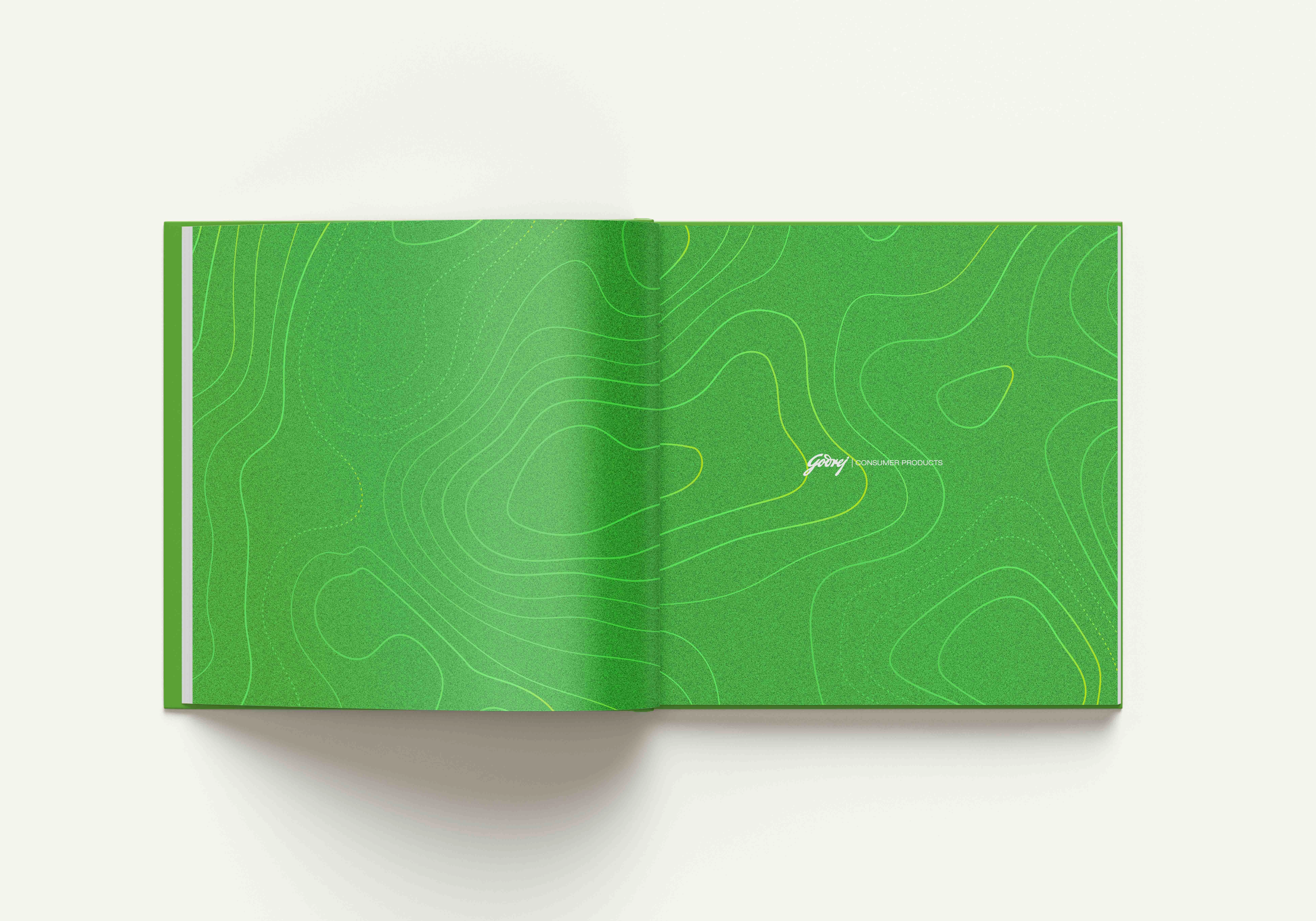 Opening Page