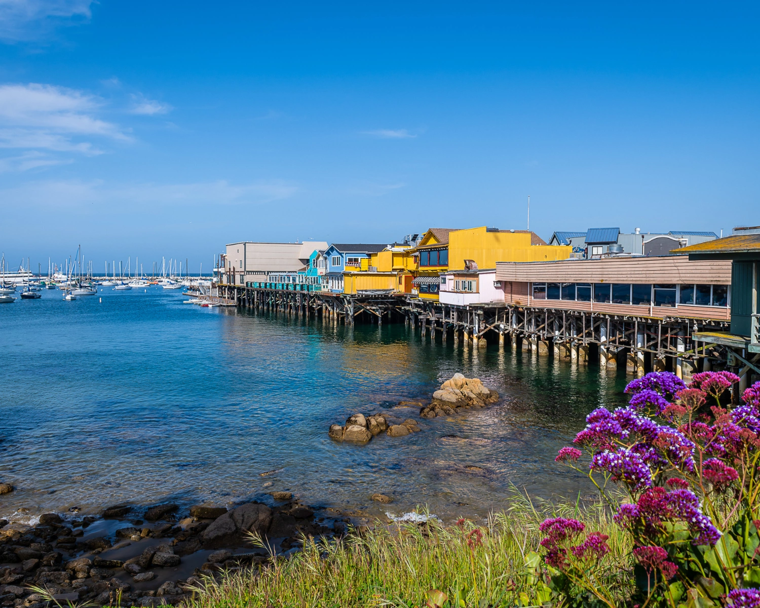 Morgan Winery: Best Hotels in Monterey, California for a Memorable Stay