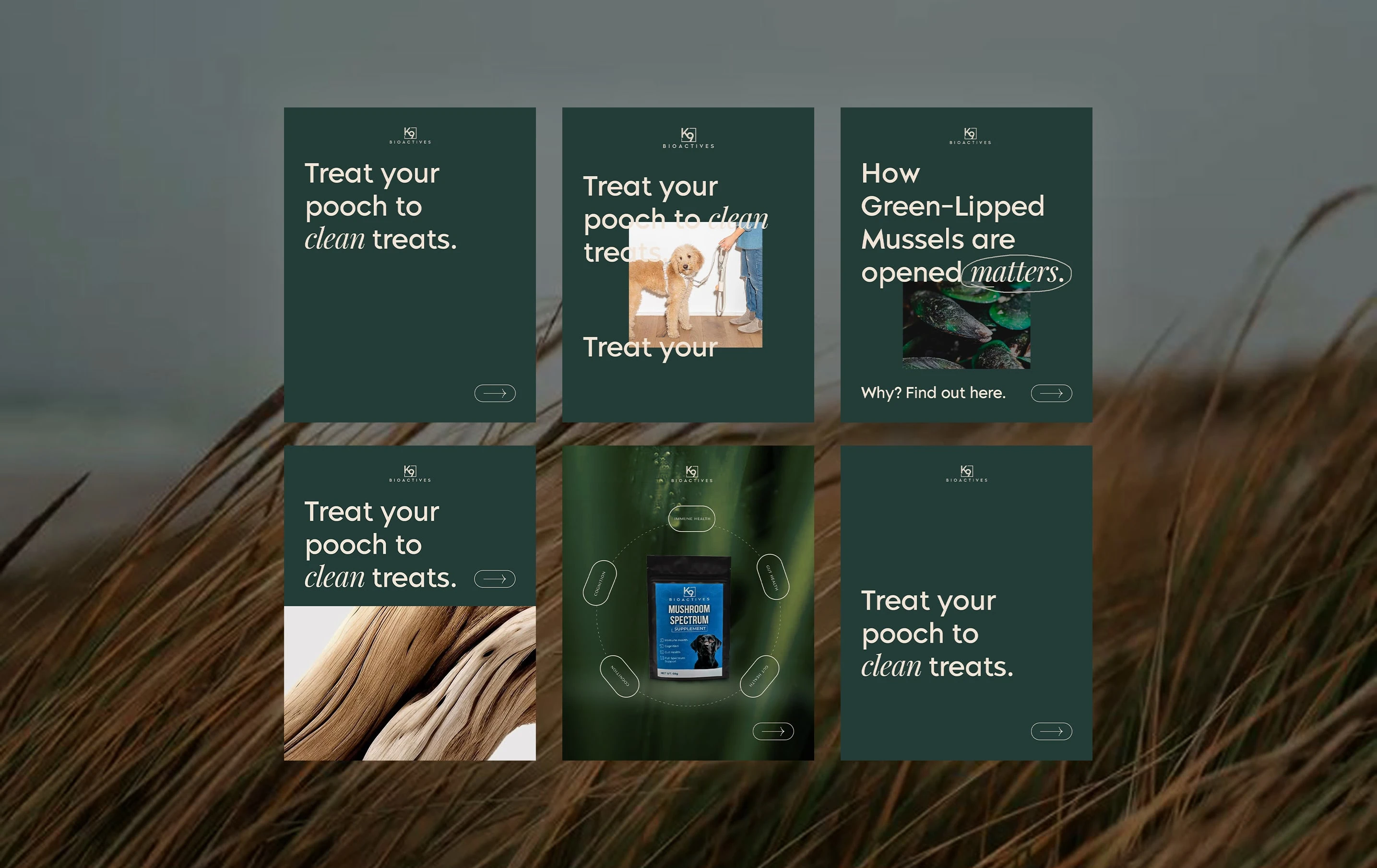 Concept to template: designed for brand cohesion and easy edits.