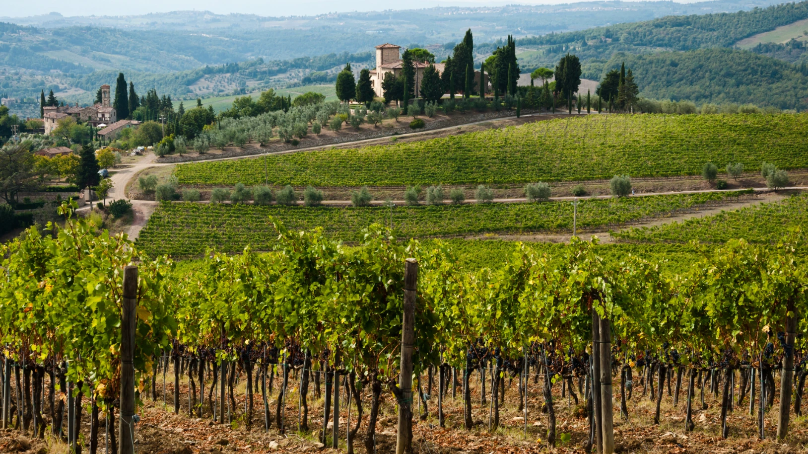Chianti Wines & All You Need to Know About the Region