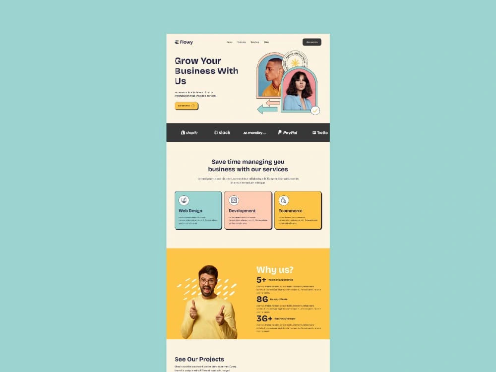 **Flow – Web Services Website**
