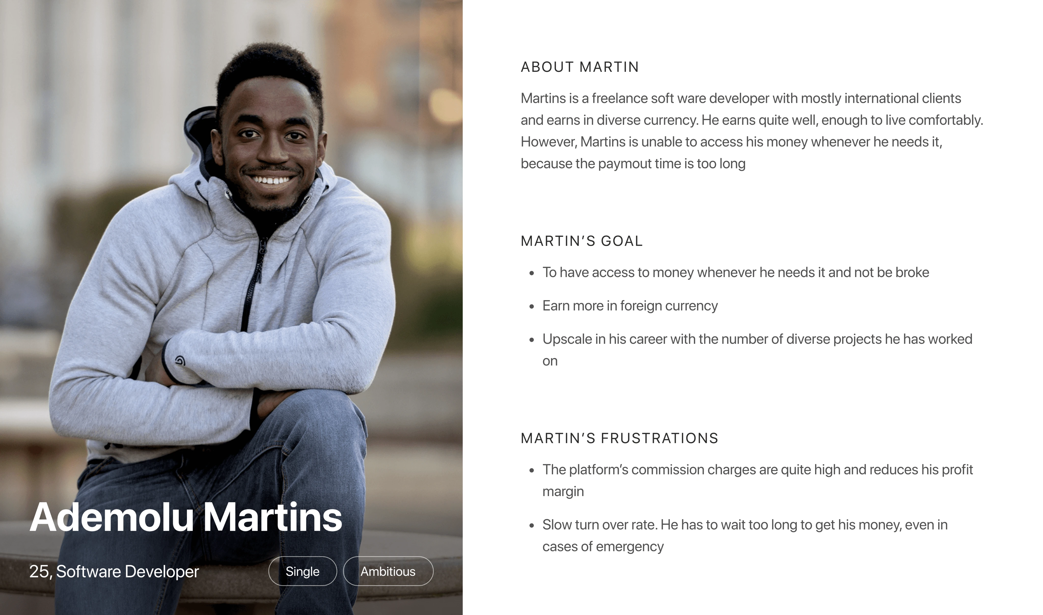 Primary User Persona