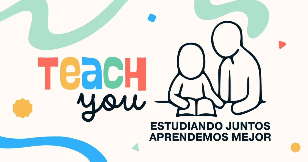A look at TeachYou's design elements, crafted to reflect the site's vibrant and professional branding.