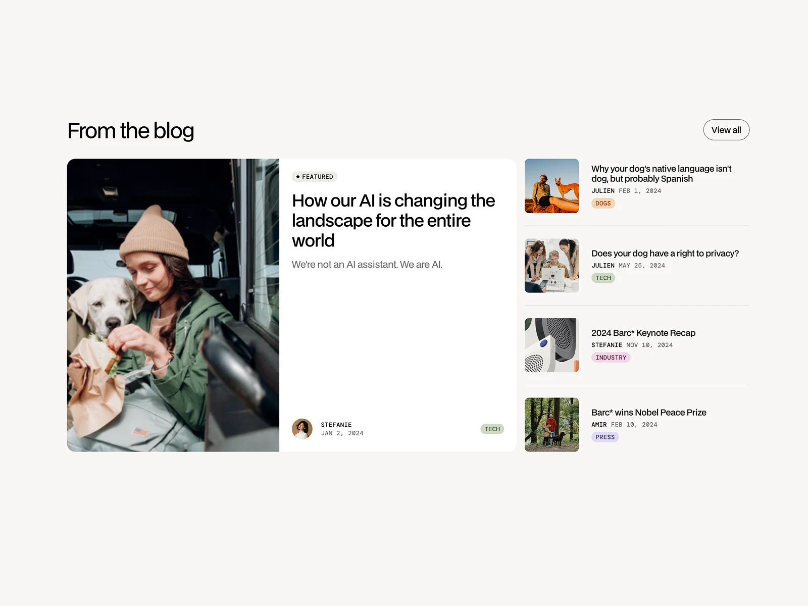 Blog articles section