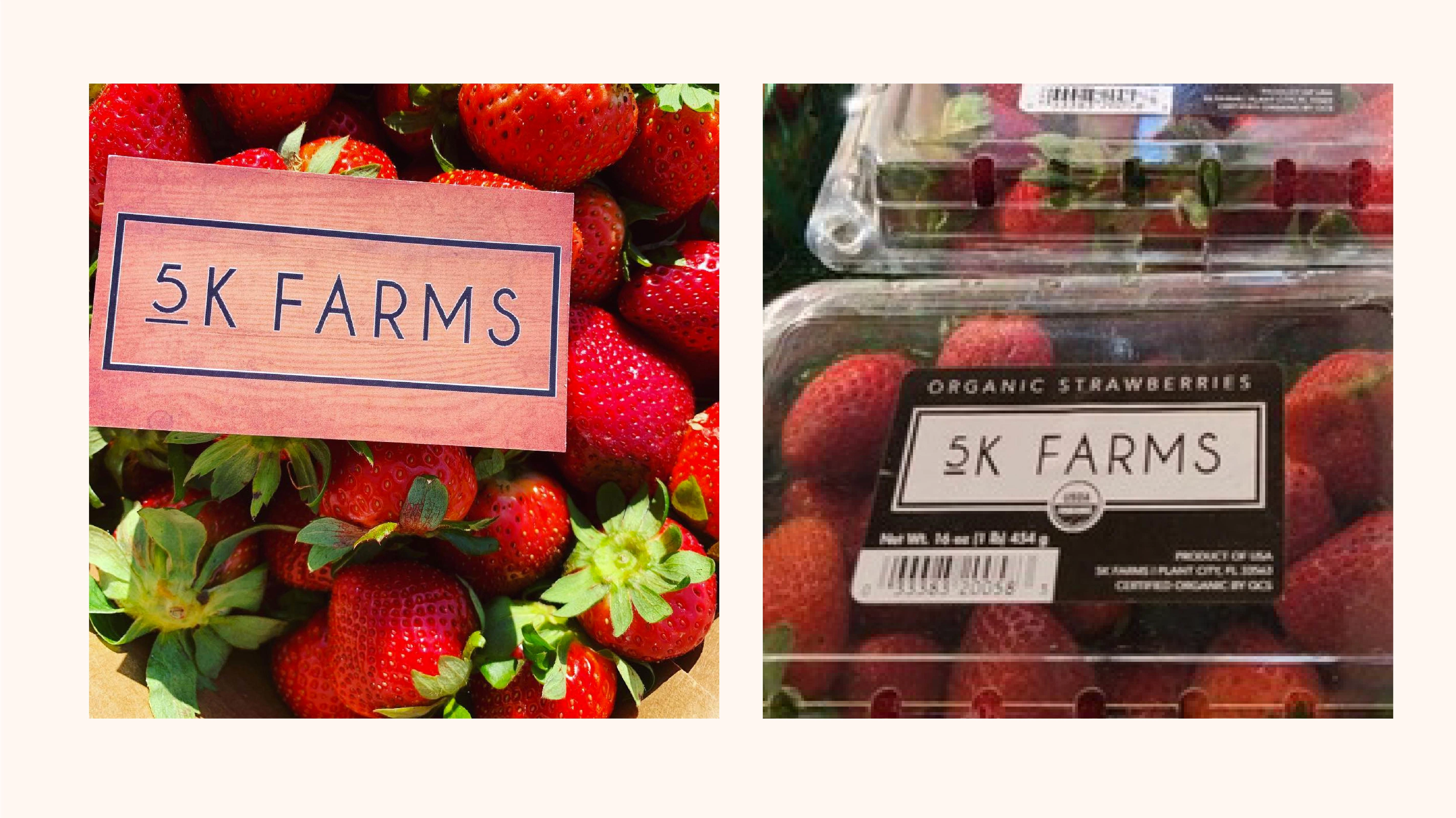 Logo and Branding in product assets 