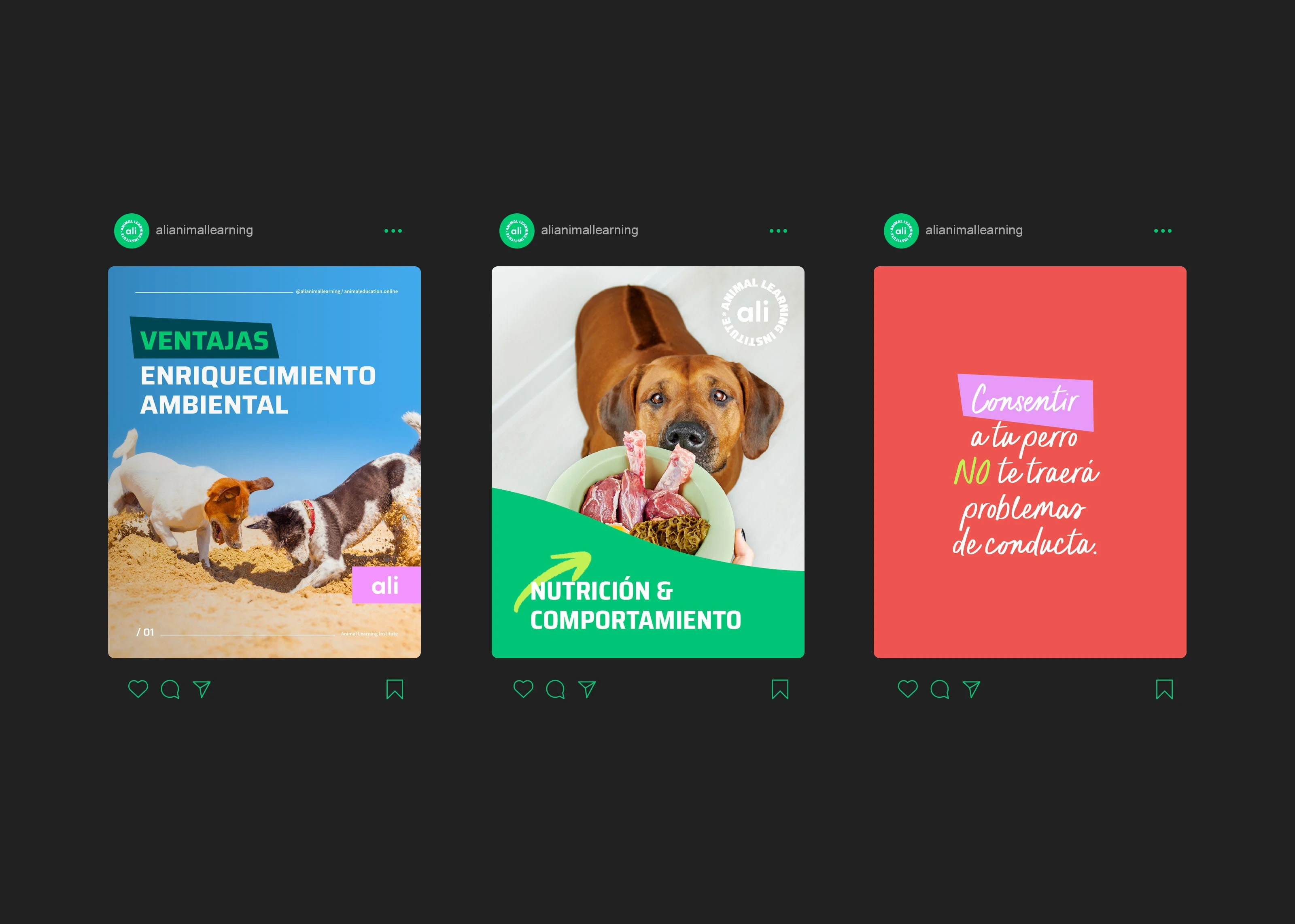 Social Media Assets for ALI / Animal Learning Institute