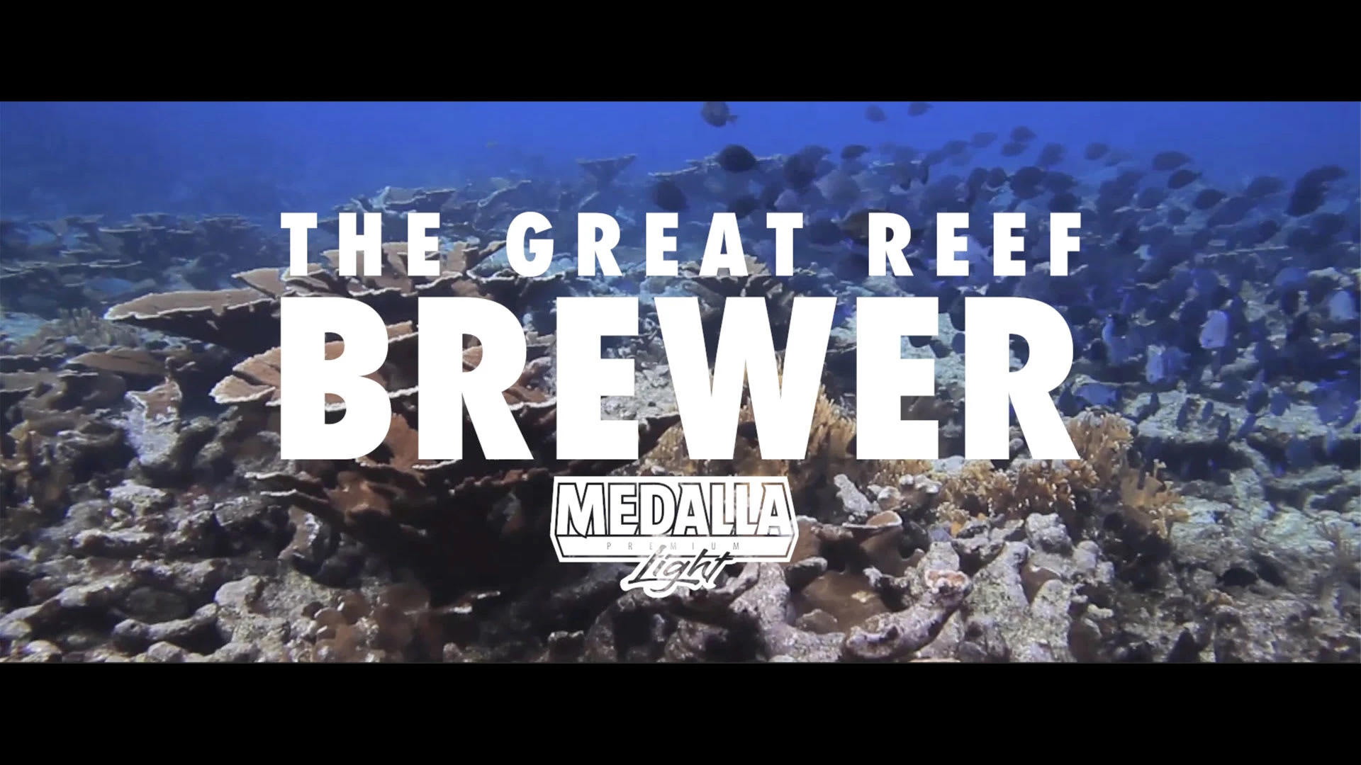 "The Great Reef Brewer" CASE STUDY