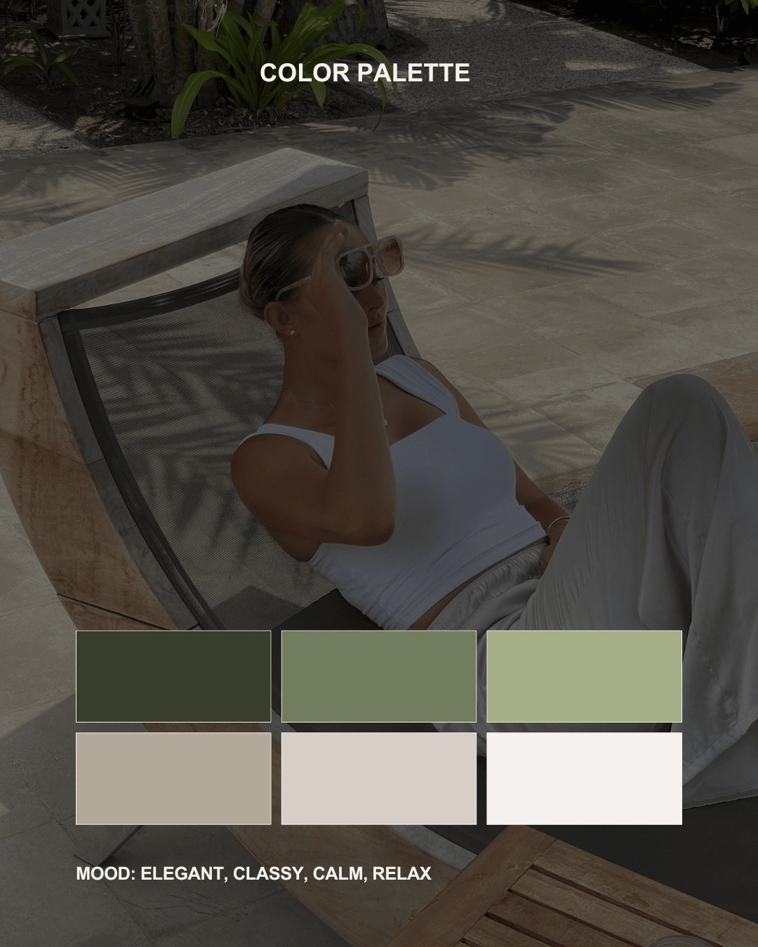 🎨 color palette  