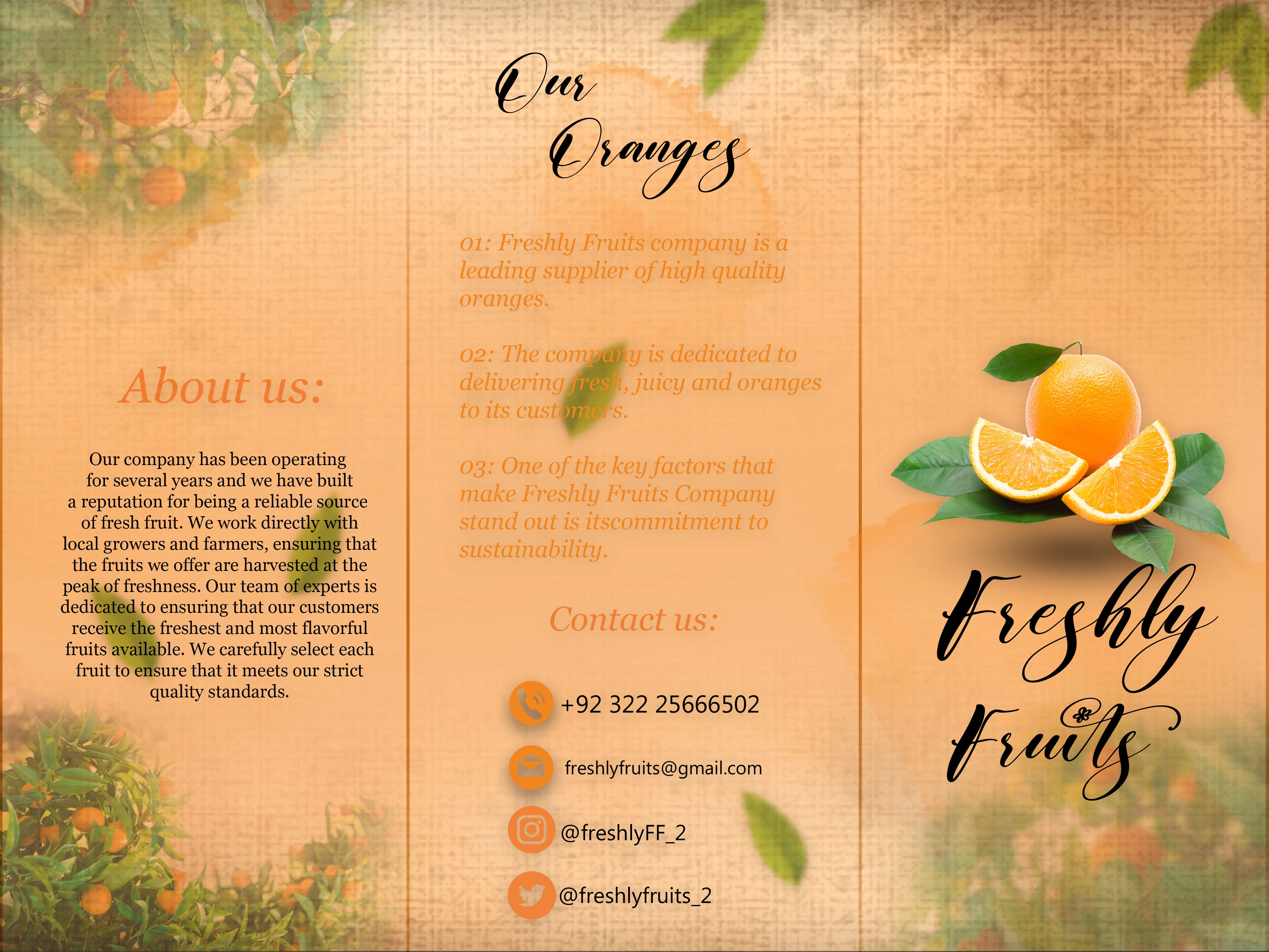 I am designed all types of business Brouchures.