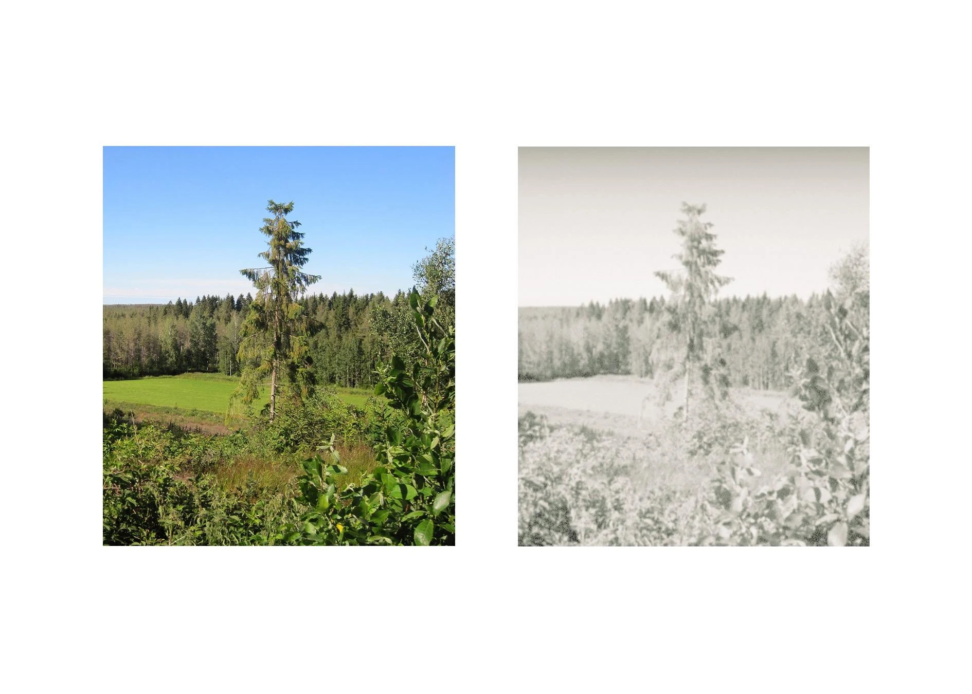 Modern photo of Finland edited to match the time period images contemporary to Runeberg