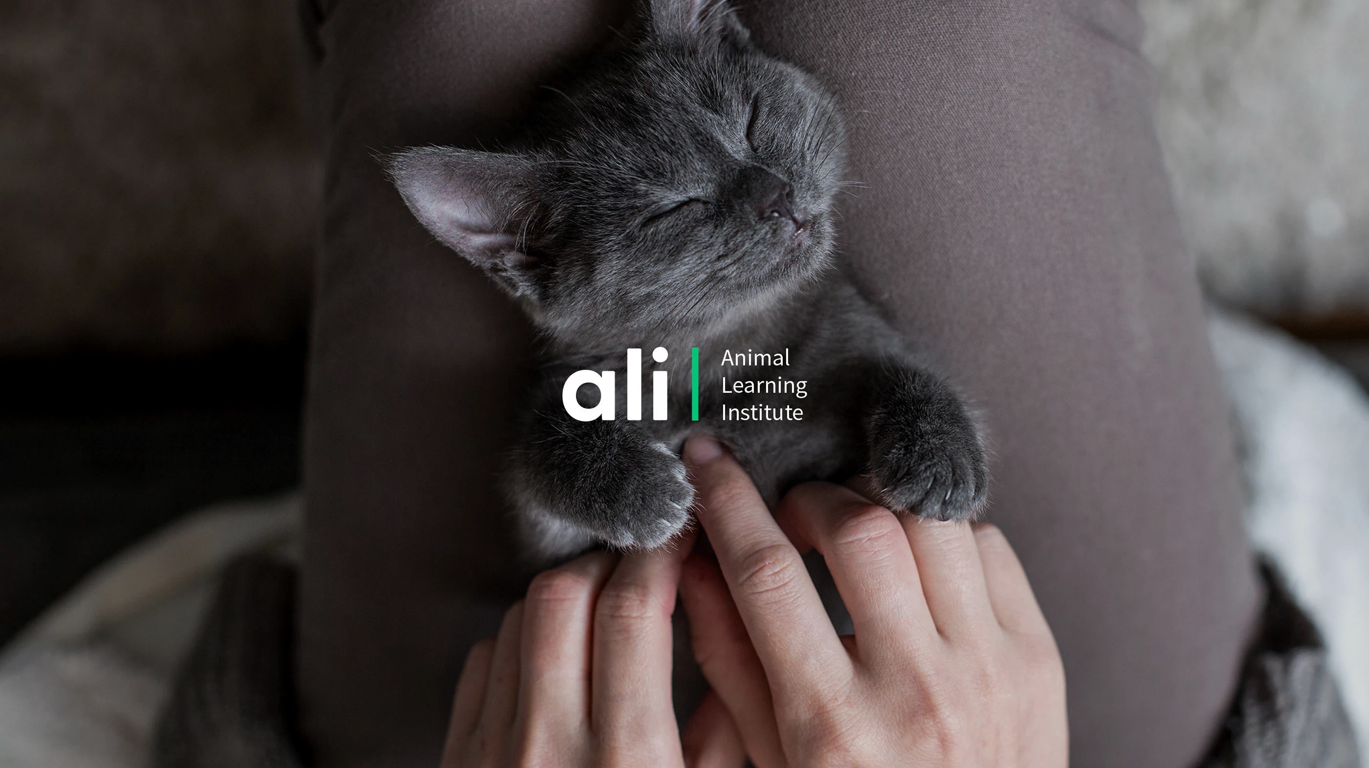 Logotype and photography style