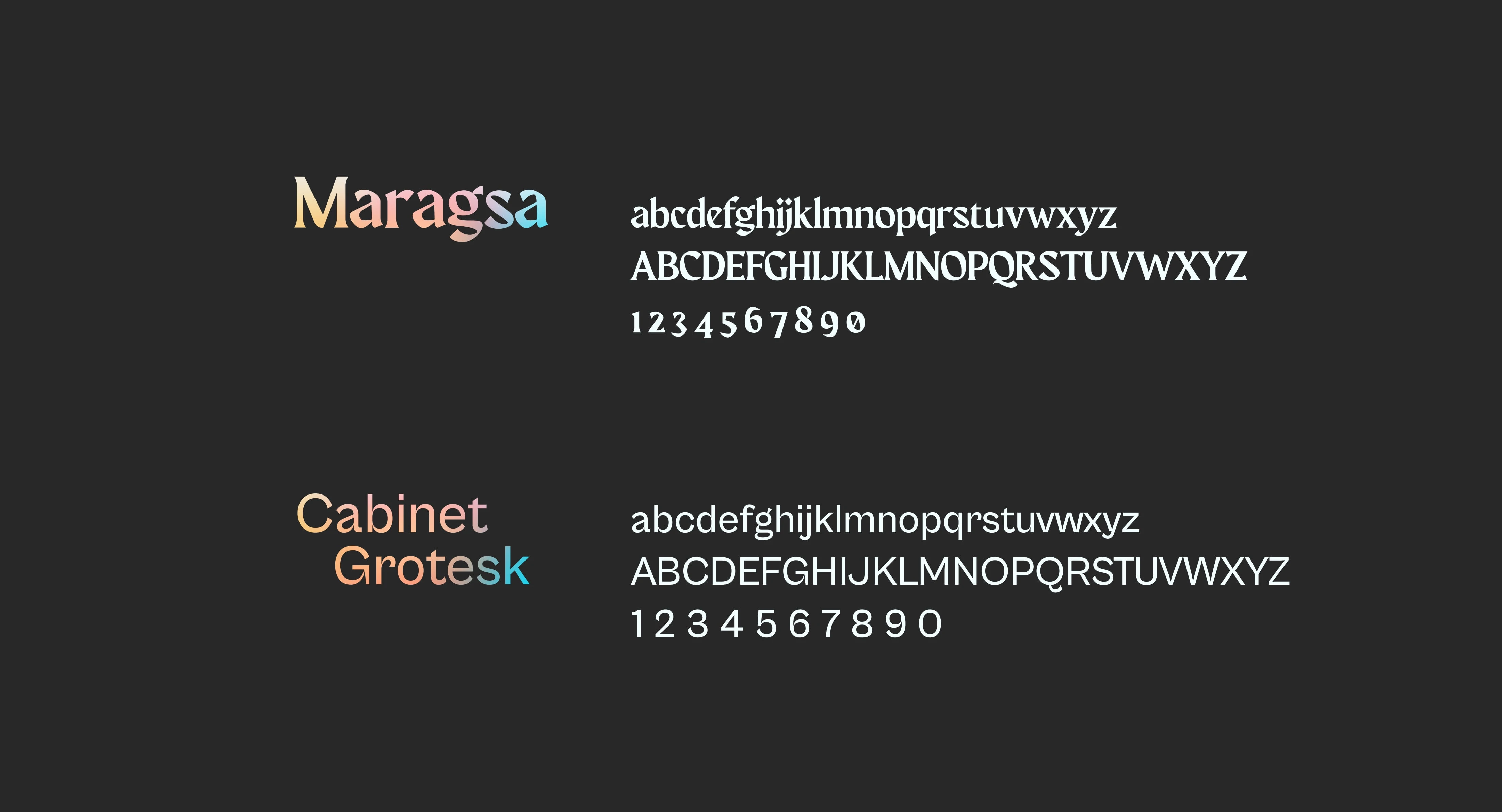 type system