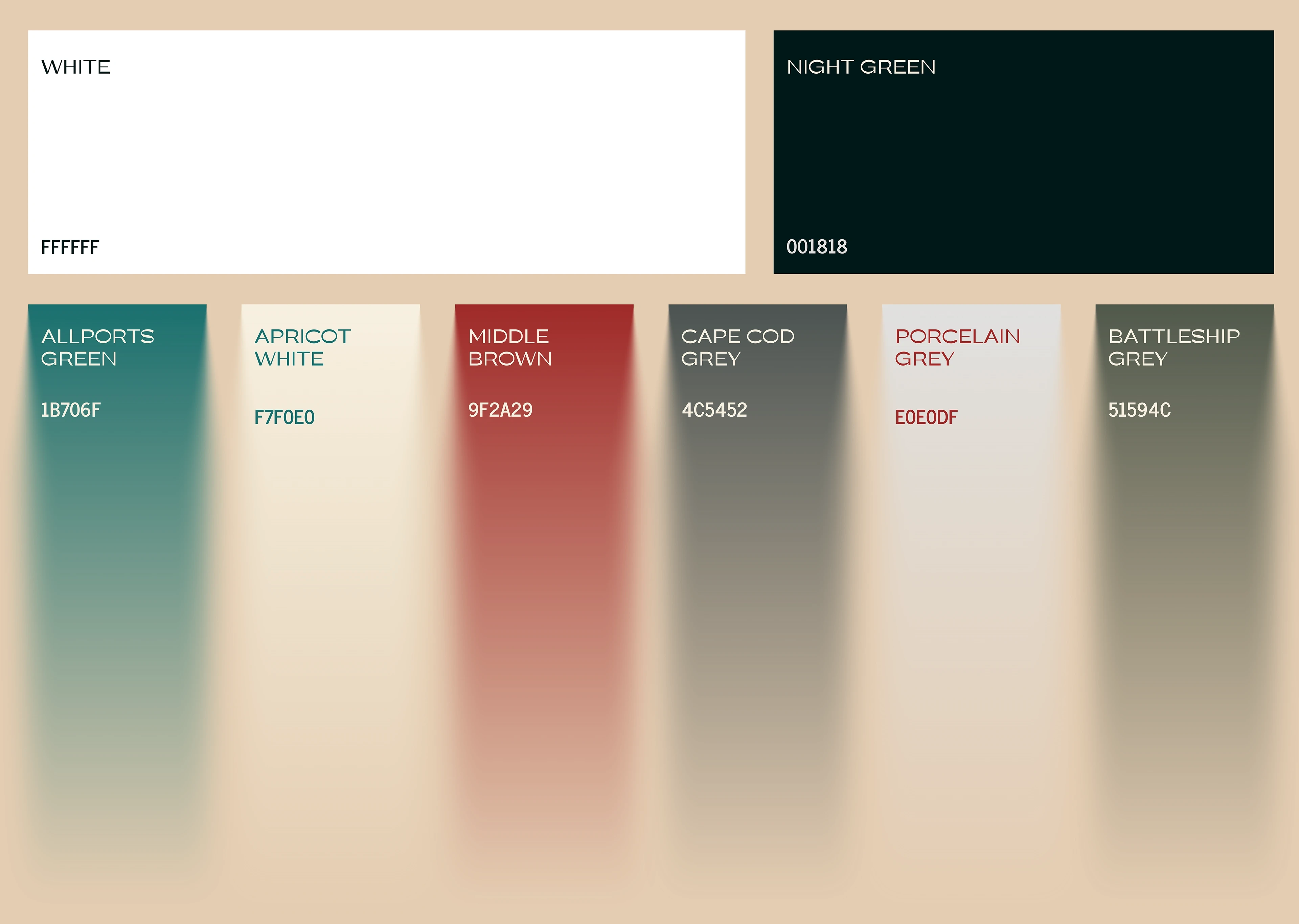 Brand color palette
