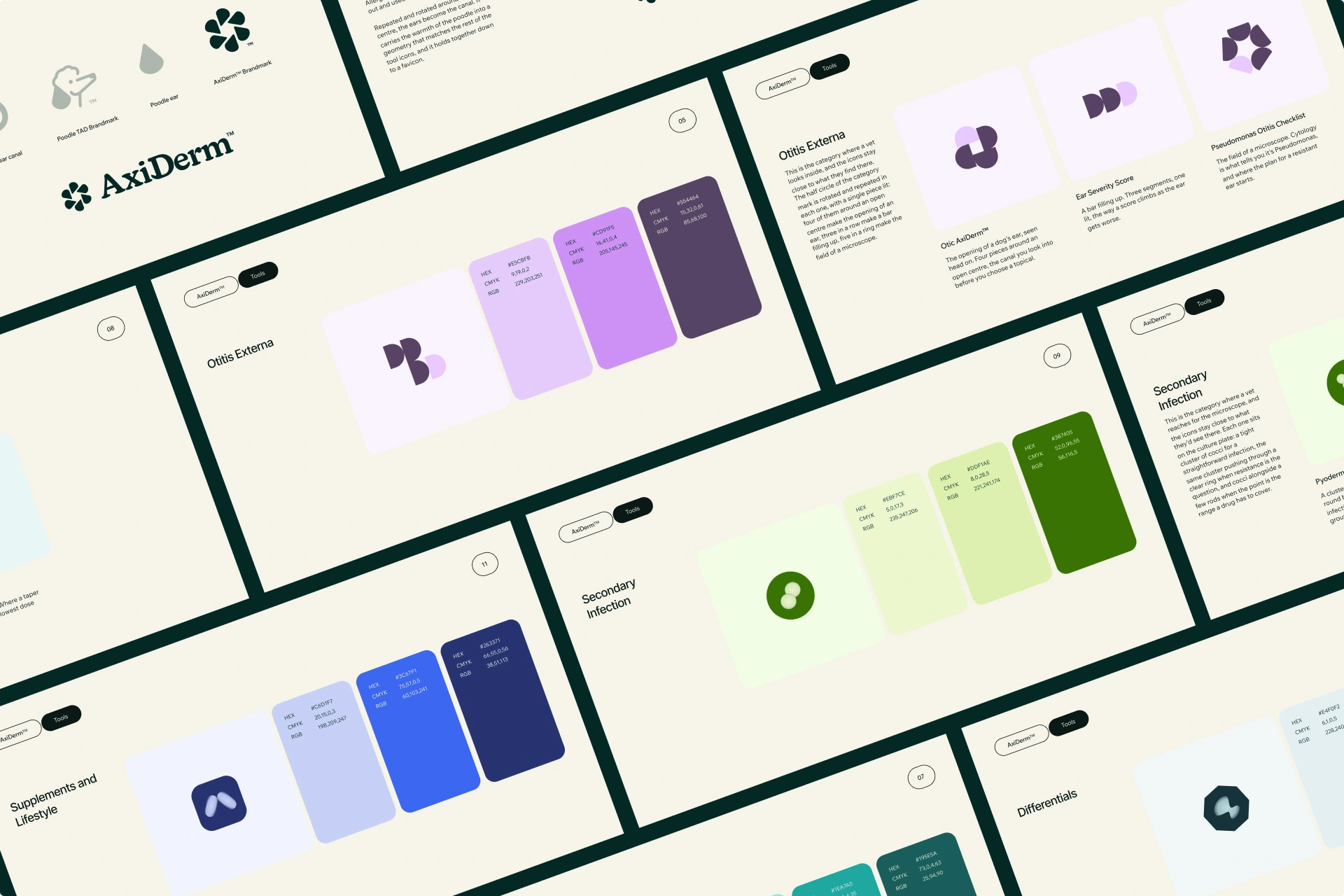 AxiDerm Brand Guidelines
