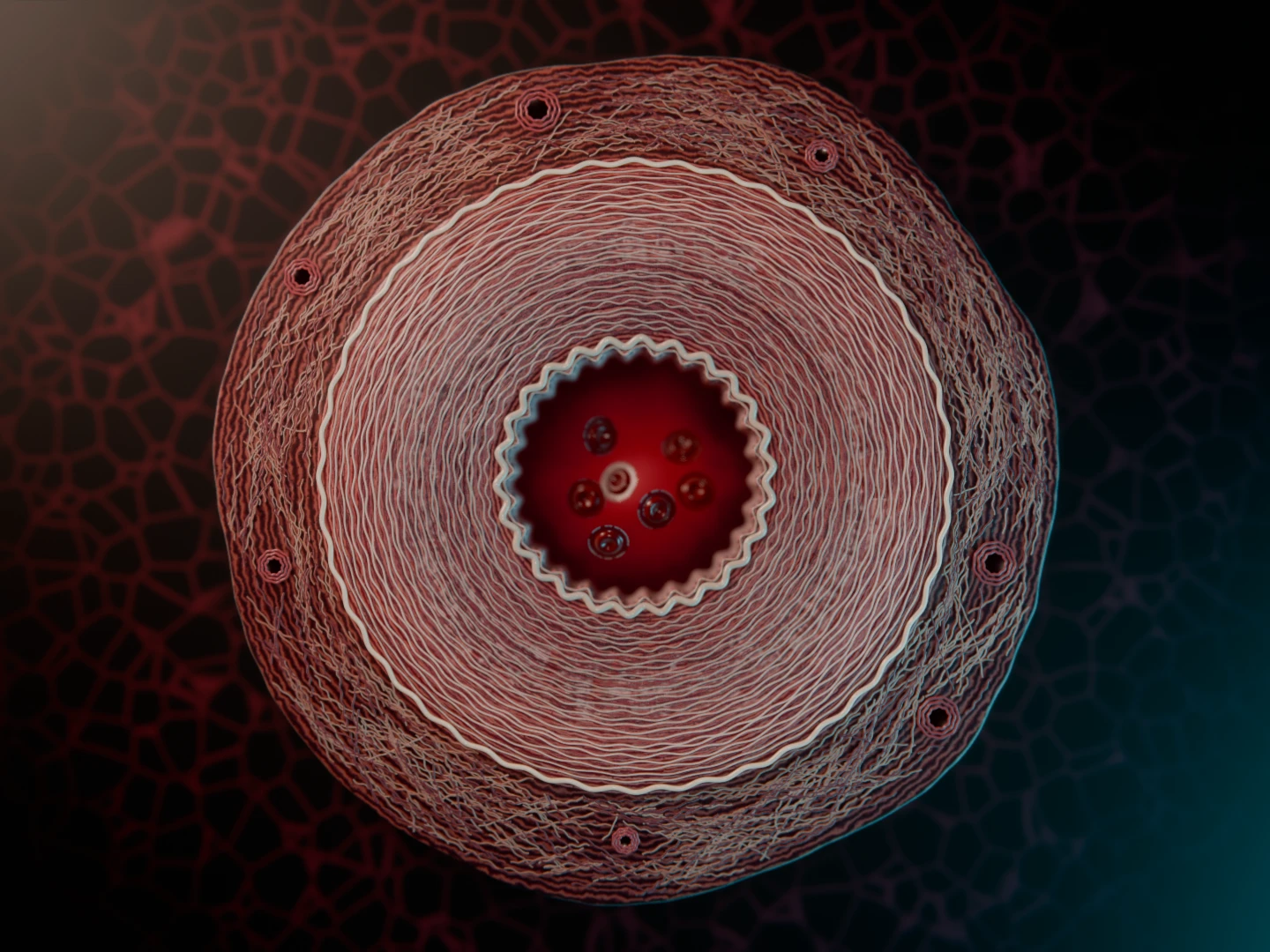 Loop frame 13, between beats
