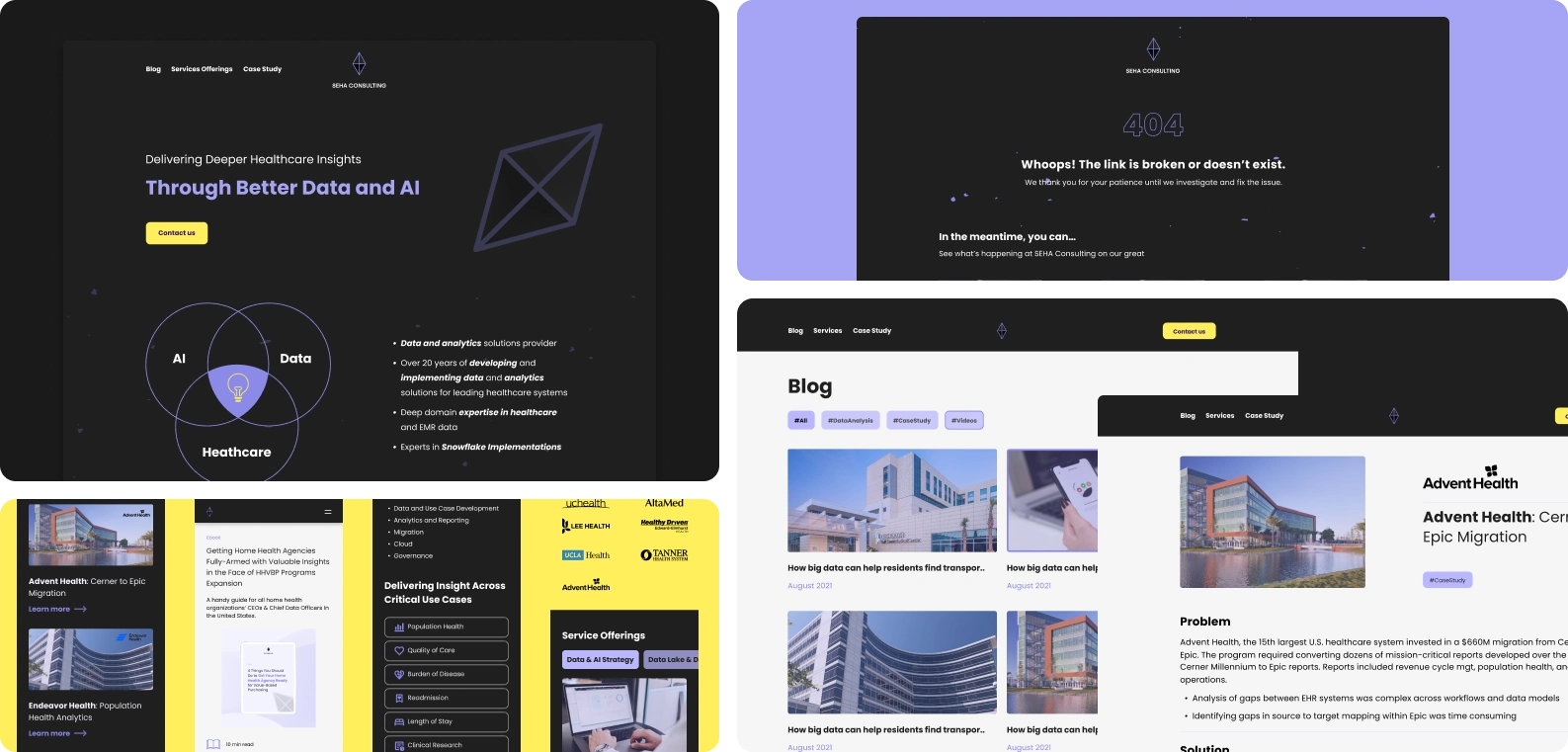 Examples of Seha Consulting brand application through the web