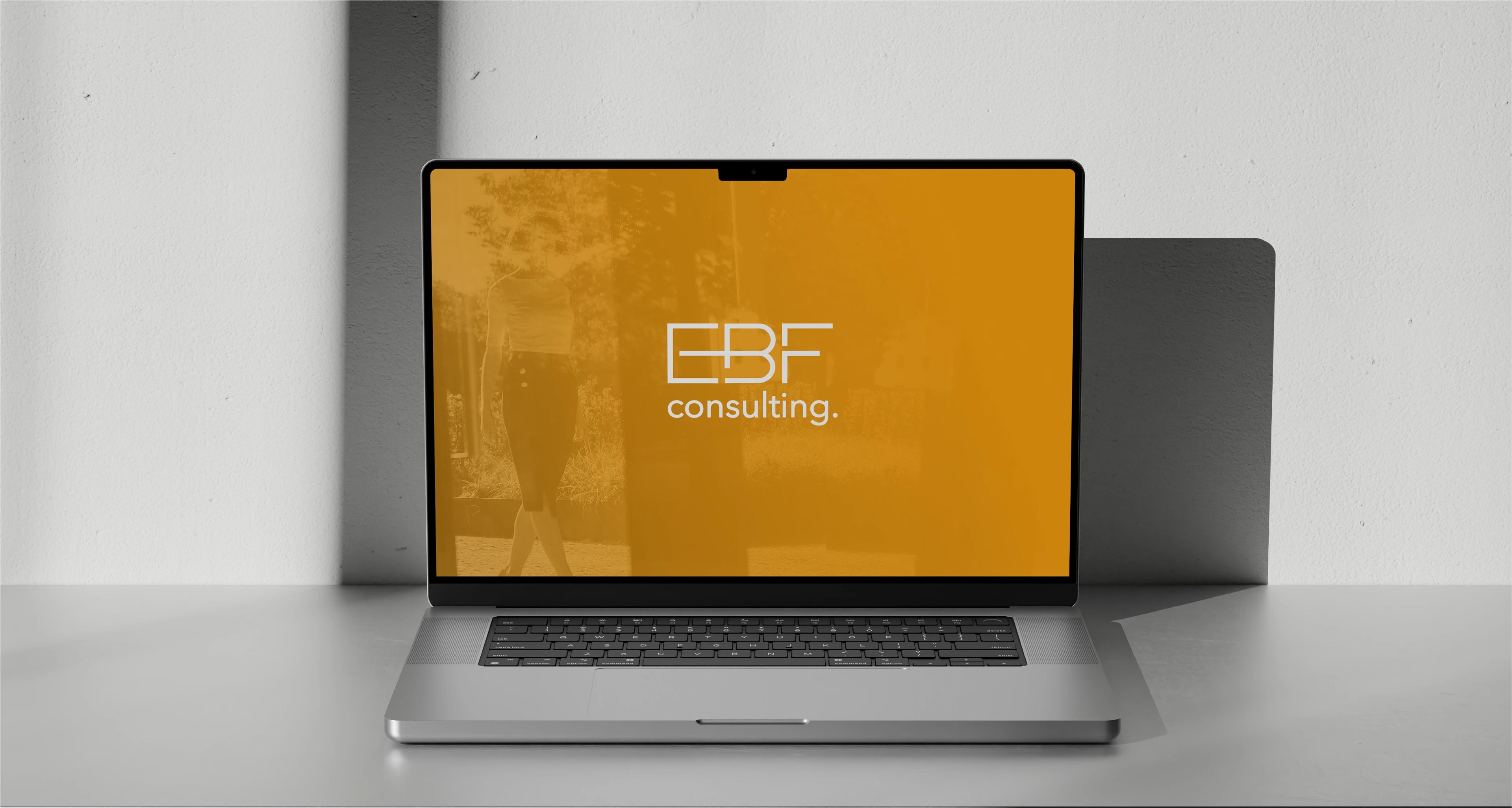 A case study of my partnership with EBF guidance & consulting, s.r.o. a consulting company aimed at financial leadership. This project highlights the work I did to create the entire visual identity and direct the visual communication strategy for EBF. My responsibilities included defining the brand's visual identity, creating social media content, and producing print designs.