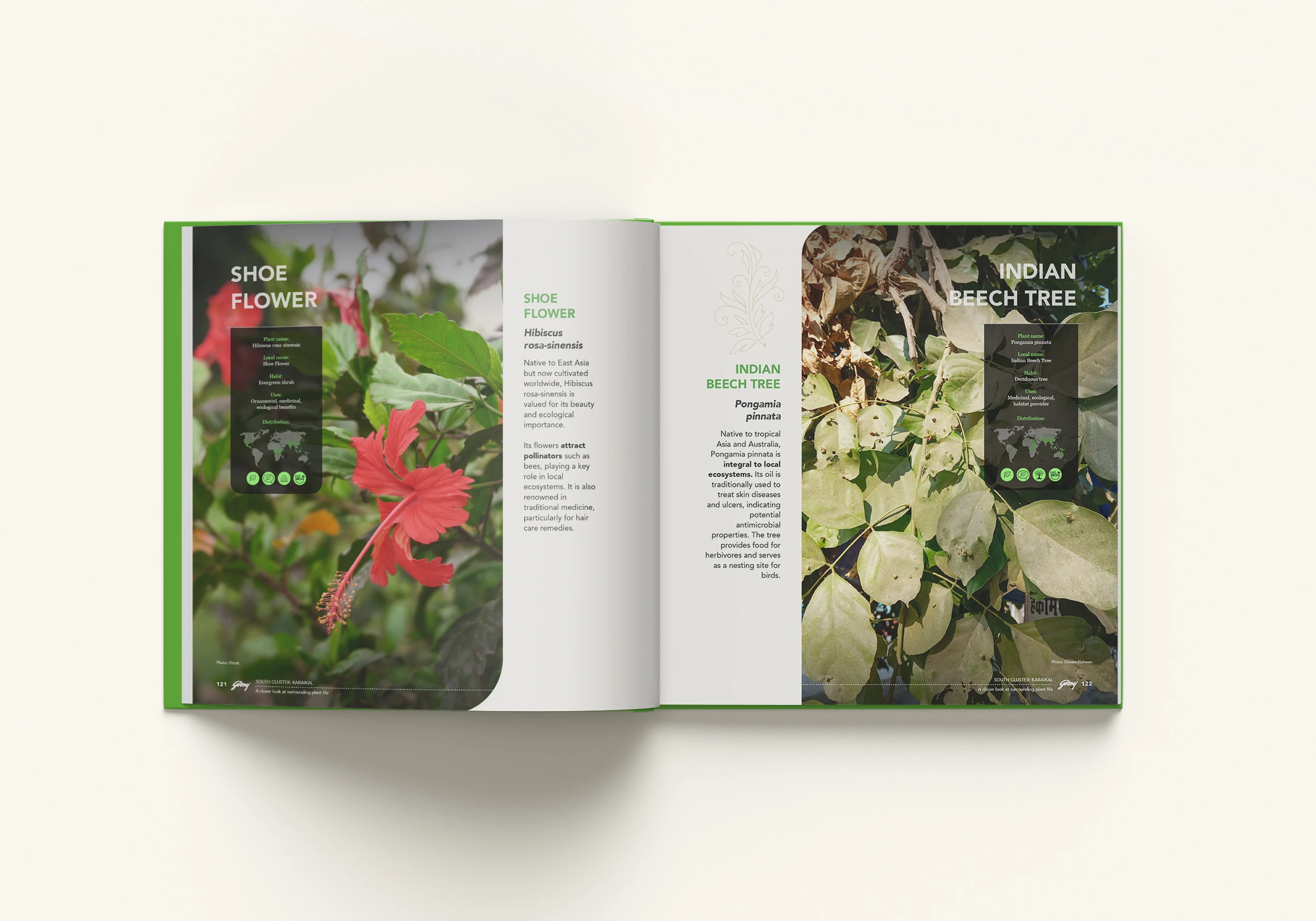 Inside Page Layout