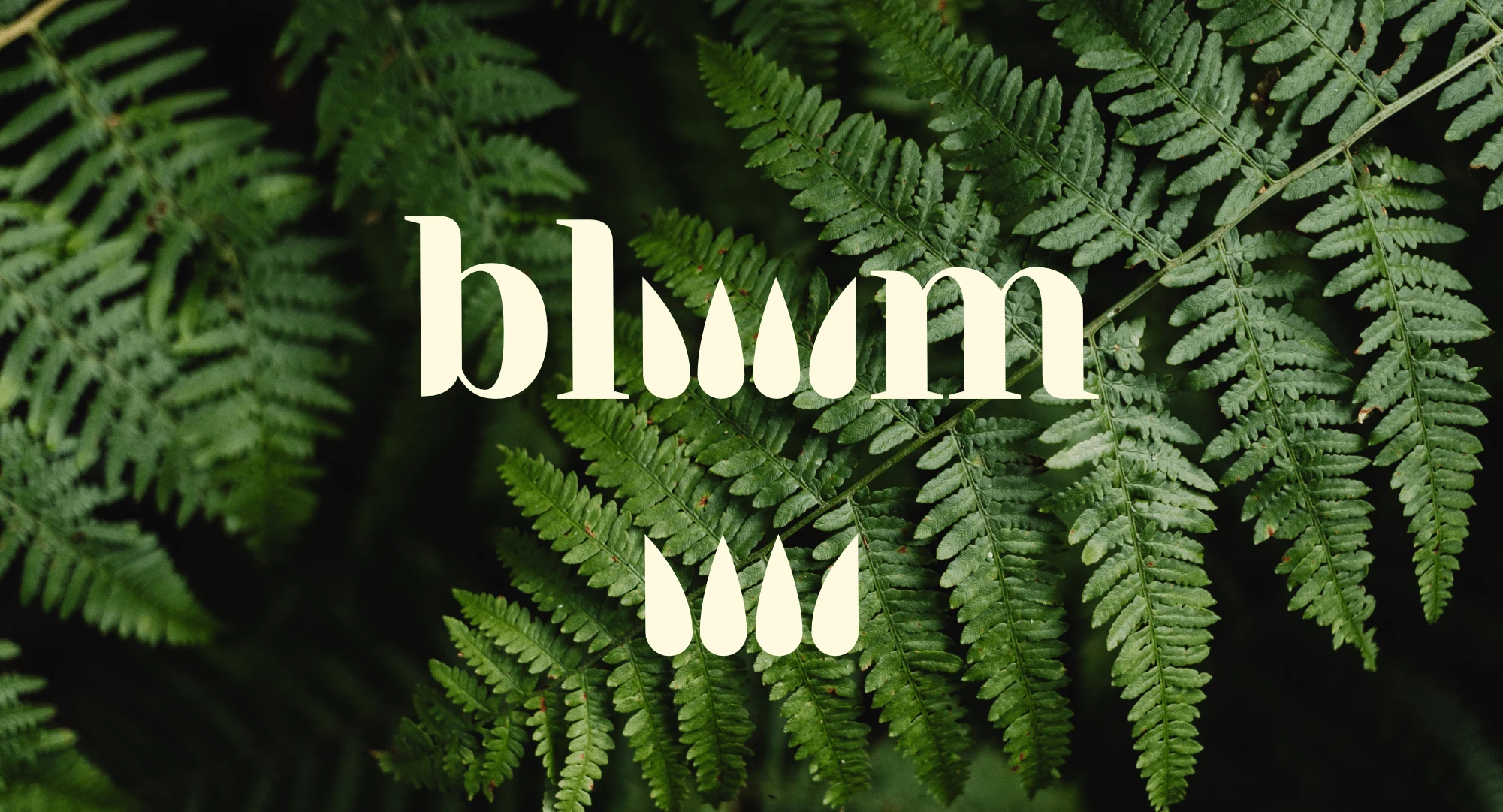 Logo Variations