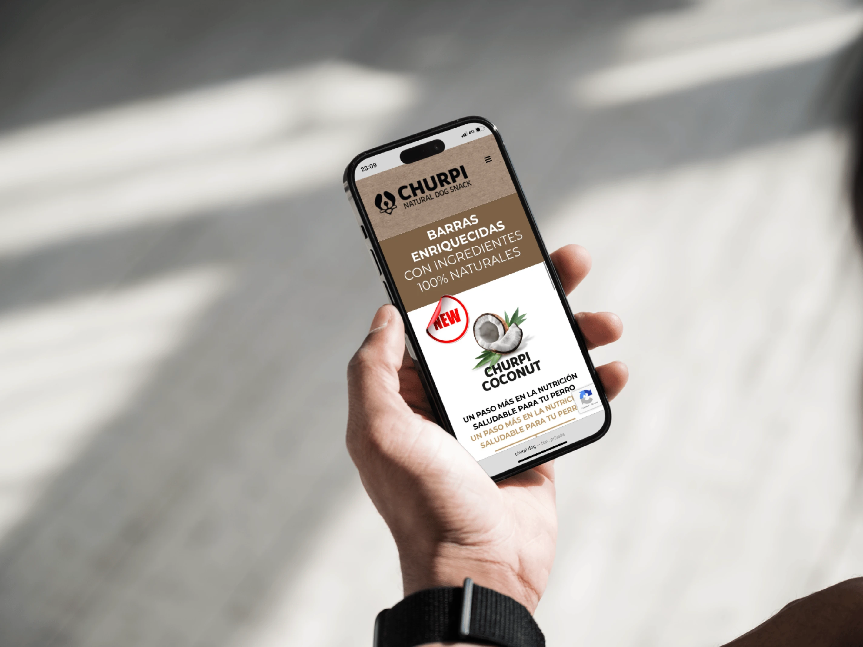 Mobile Version
