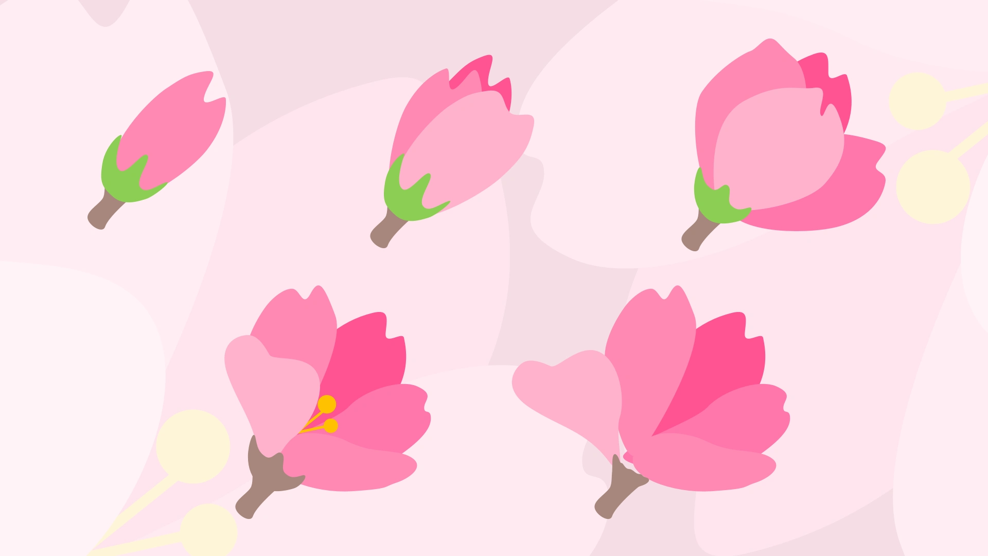 Various stages of blooming (vector images created in Sketch app)