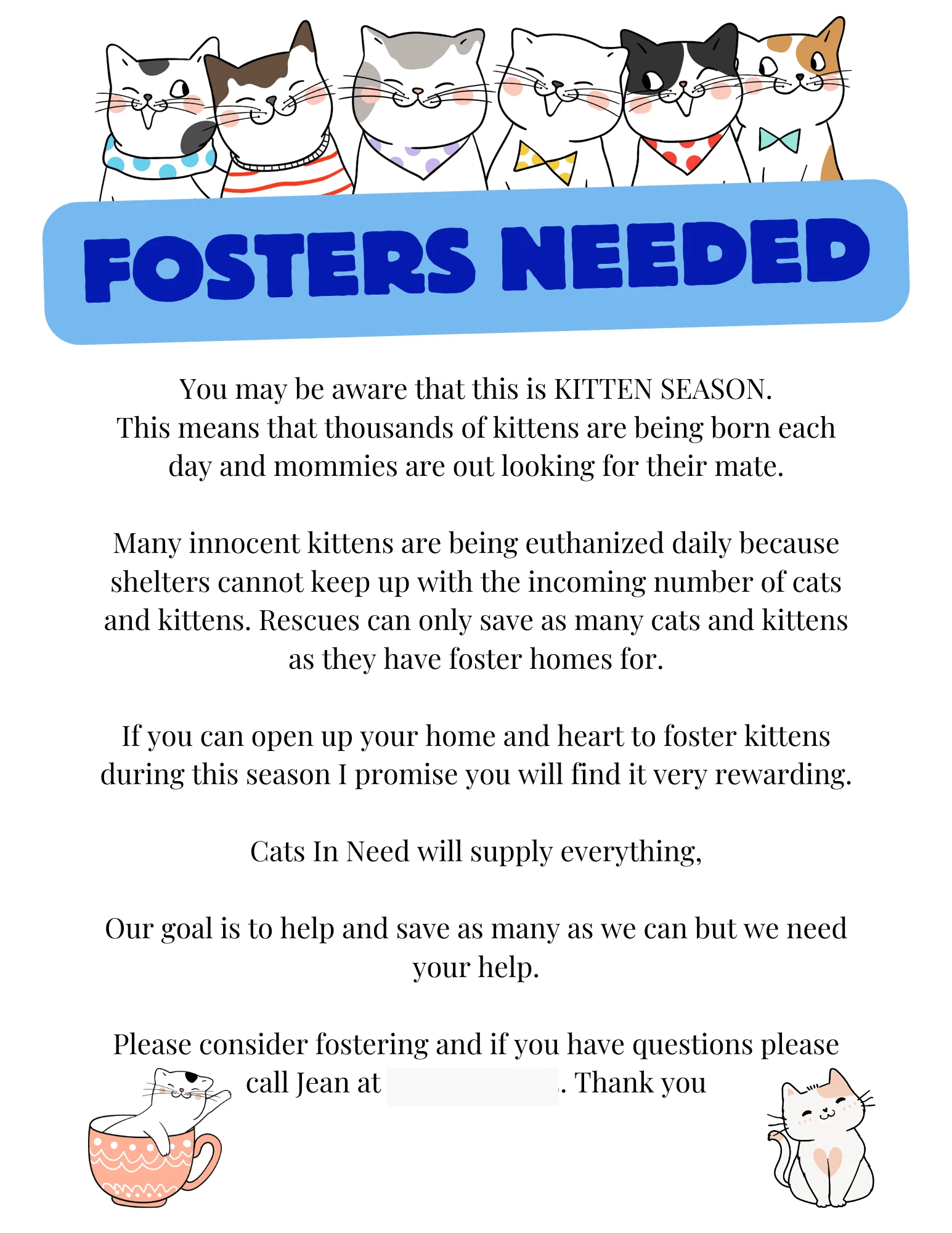 Foster flyer handed out during adoption events.