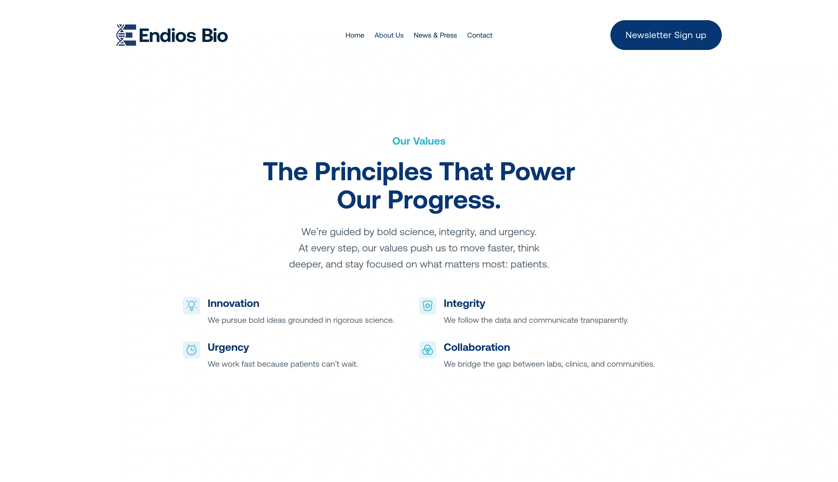 Values Section