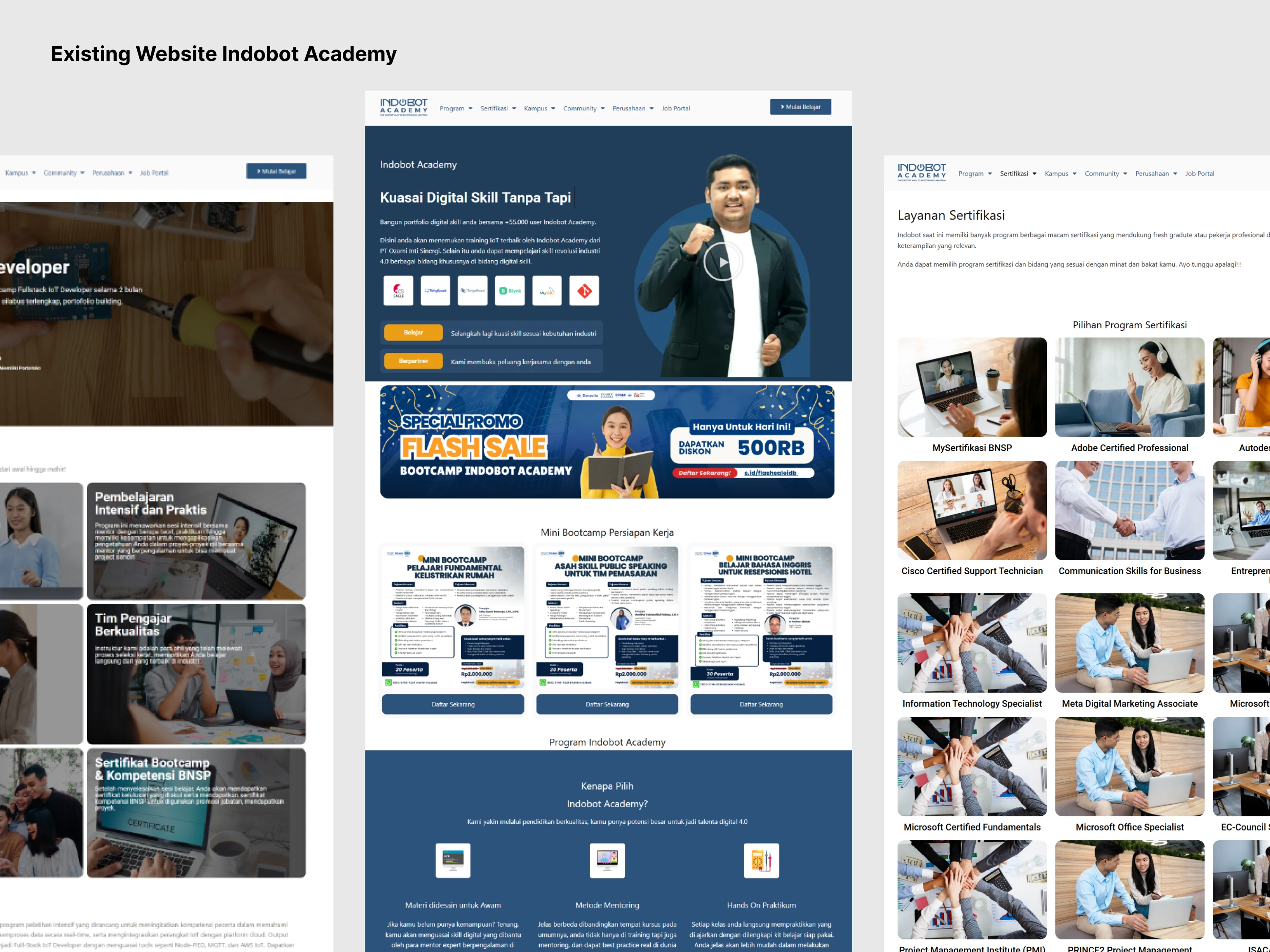Existing Indobot Academy Website