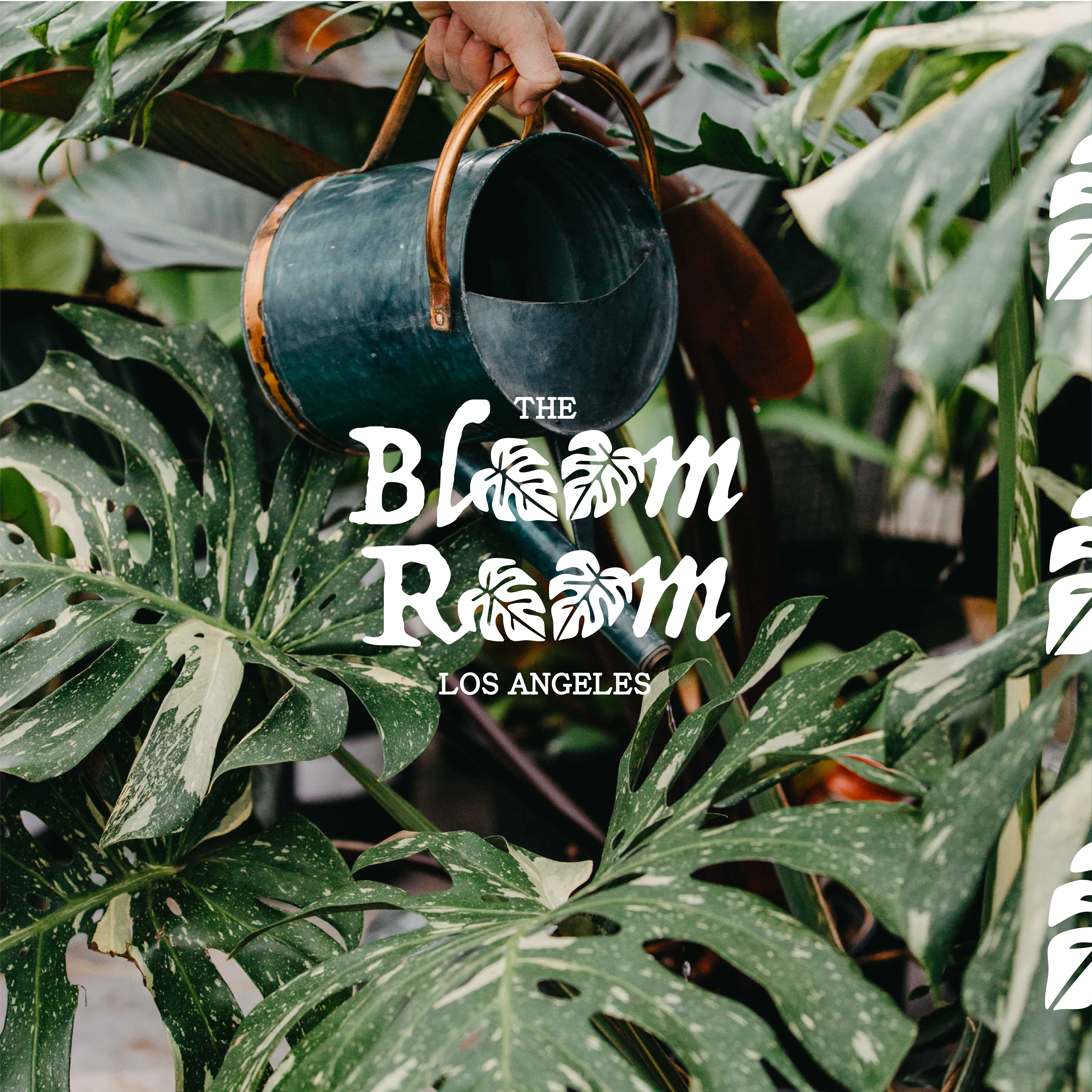 This image features the main logo, which was crafted using custom typography and incorporating monstera leaves