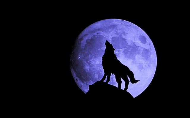 A depiction of a howling wolf