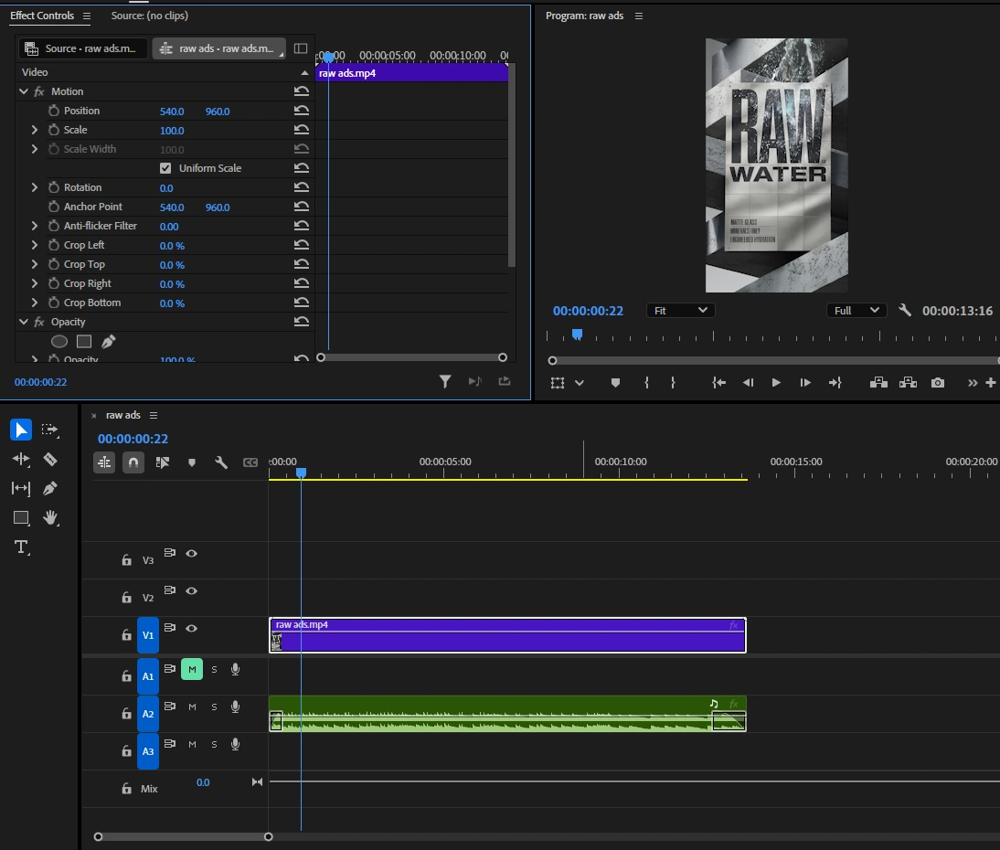 Audio Sync