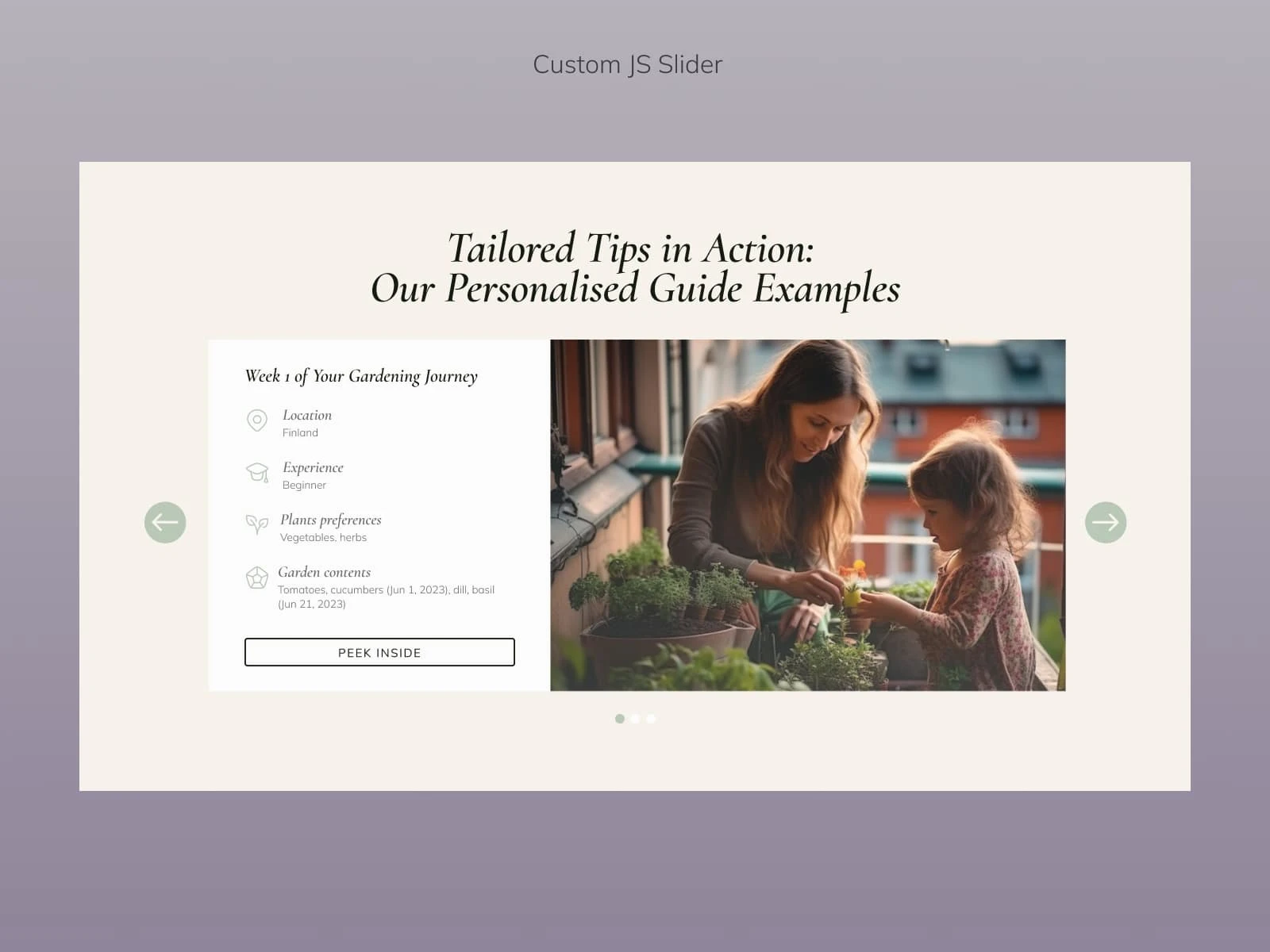 Custom JavaScript-powered slider