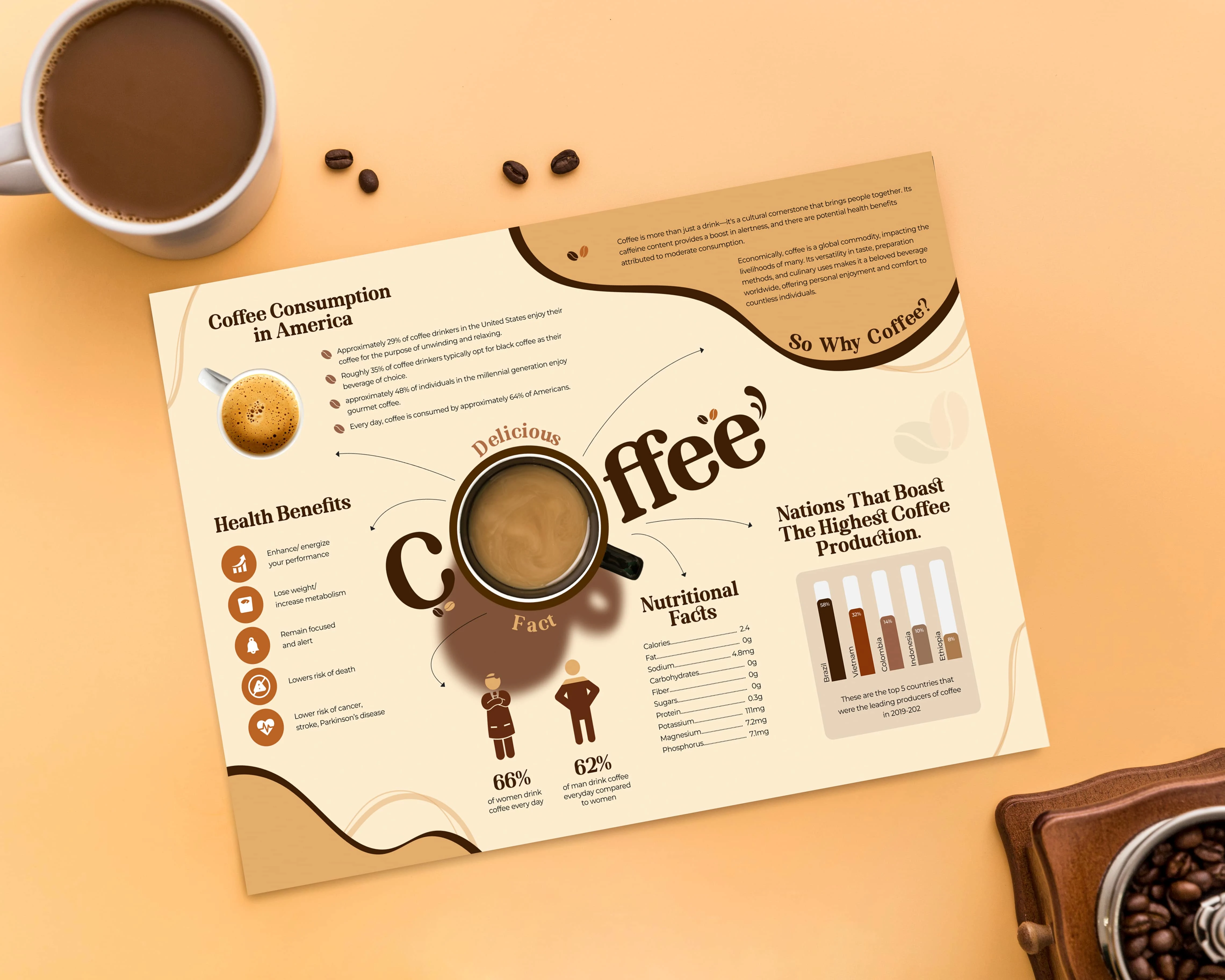 Coffee Infographic – Editorial Meets Illustration