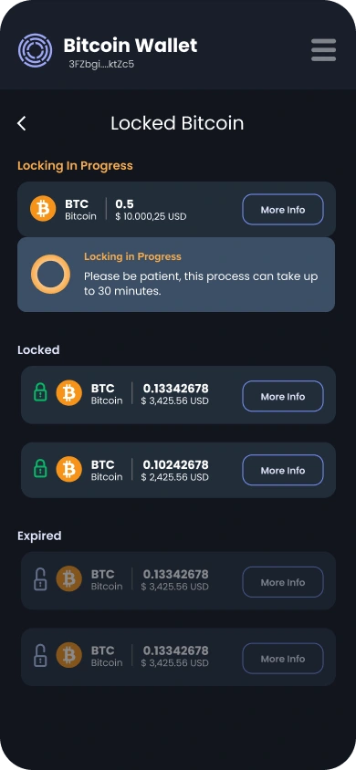 Visualizing the locking progress to prove the tech works on-chain.
