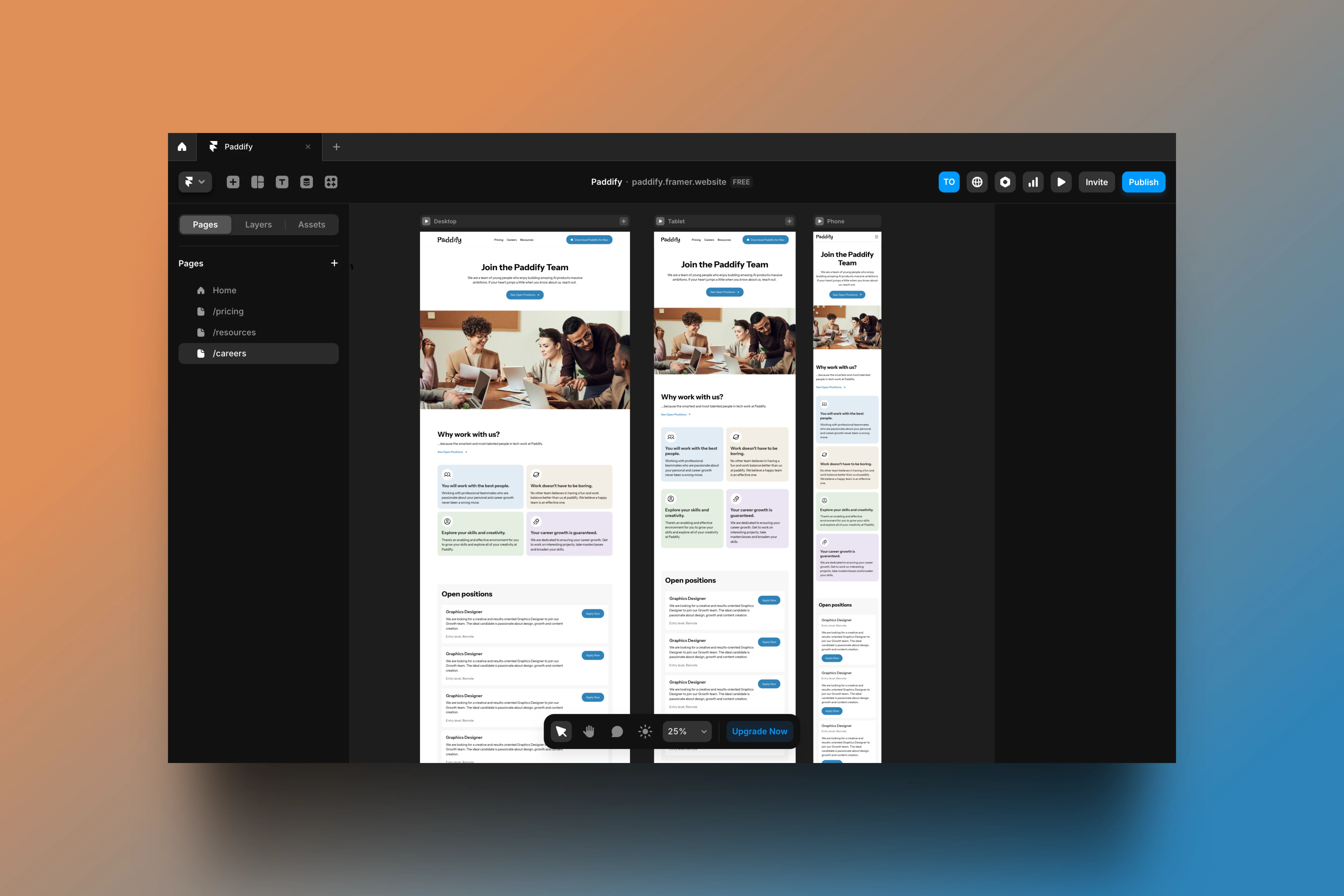 Responsive view of the paddify career page.