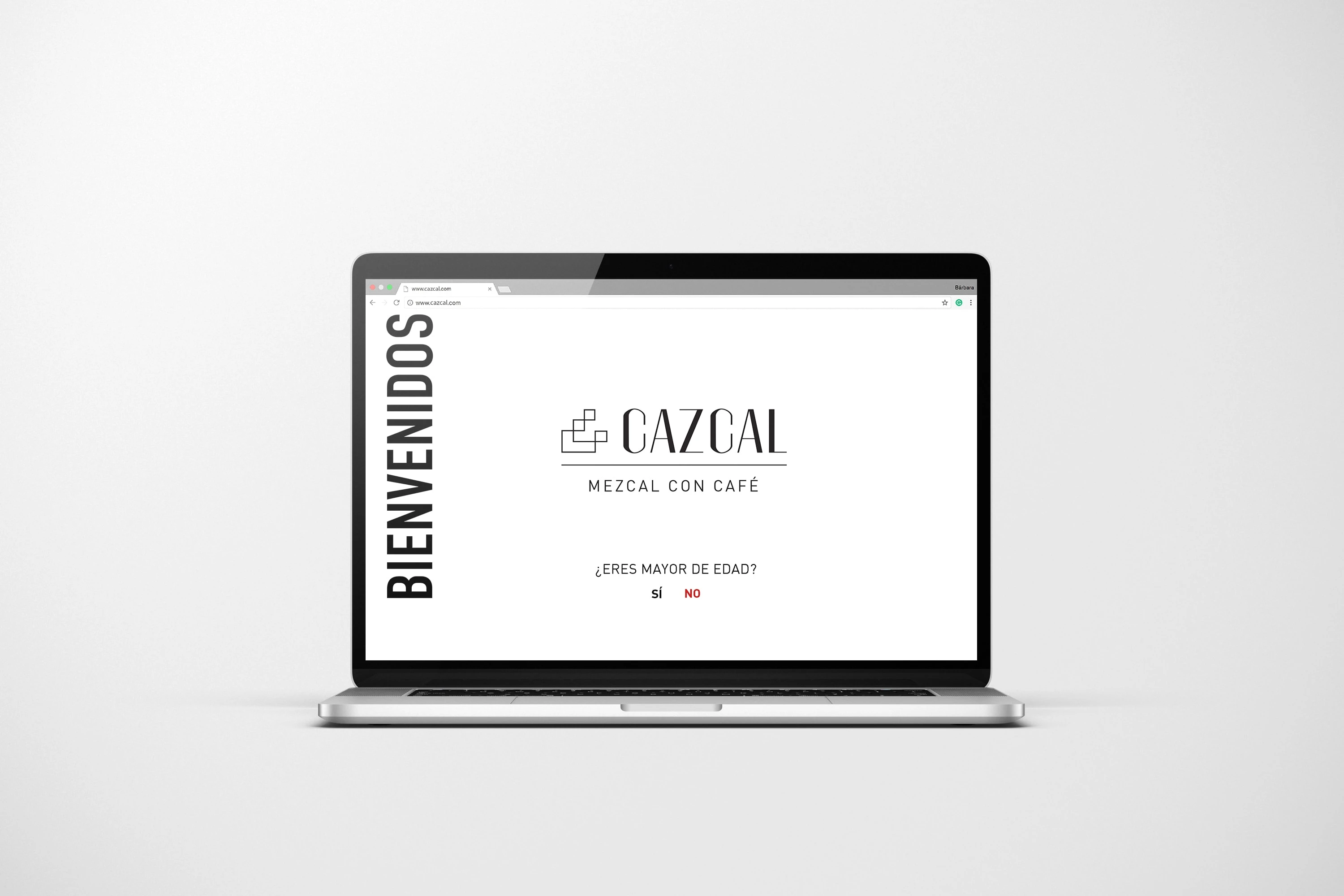 Web Design 1