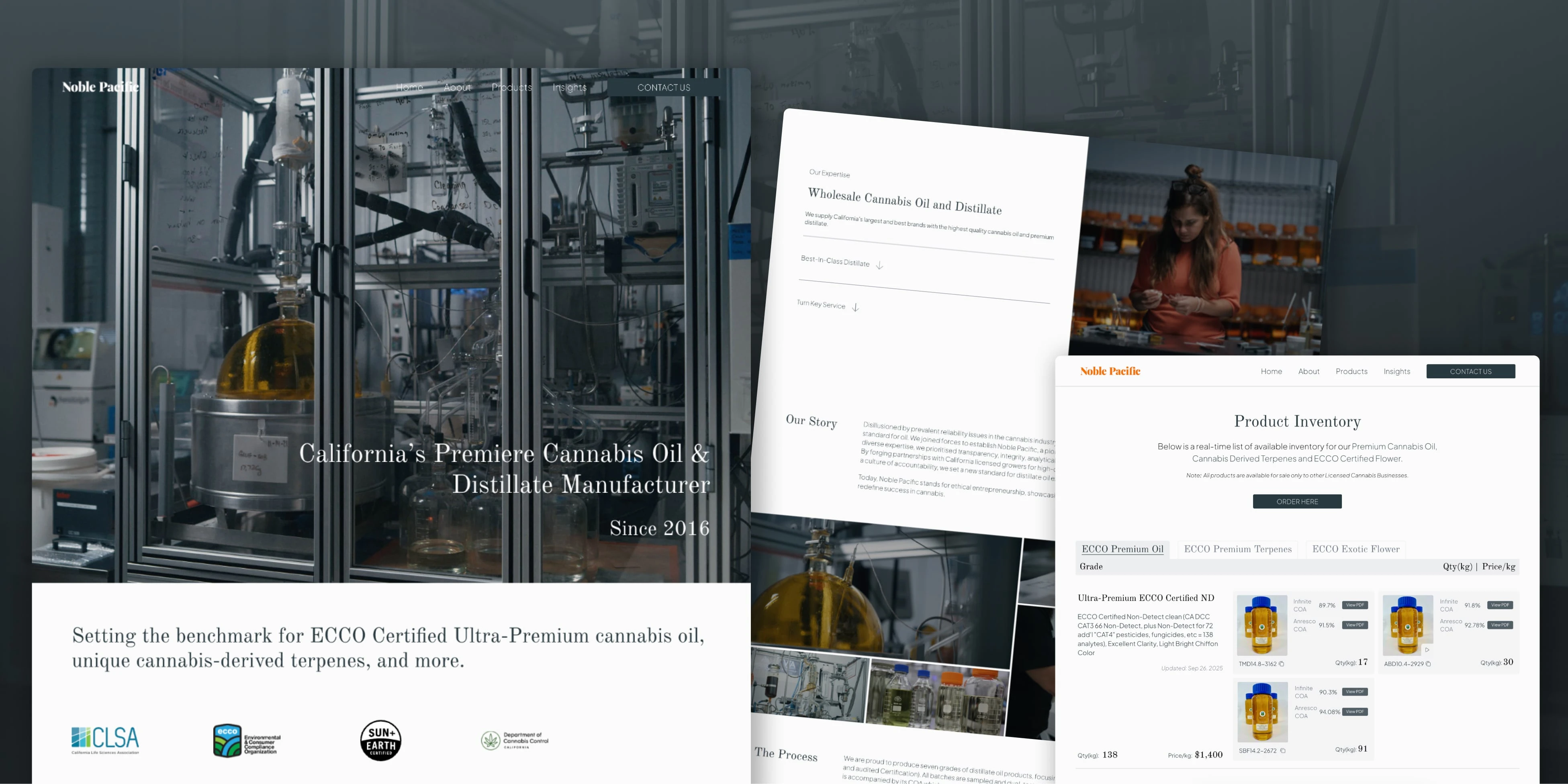 design & manage a custom business website