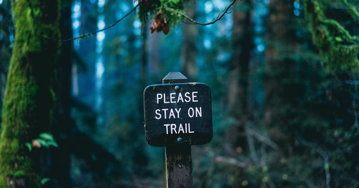 Image from Unsplash.com