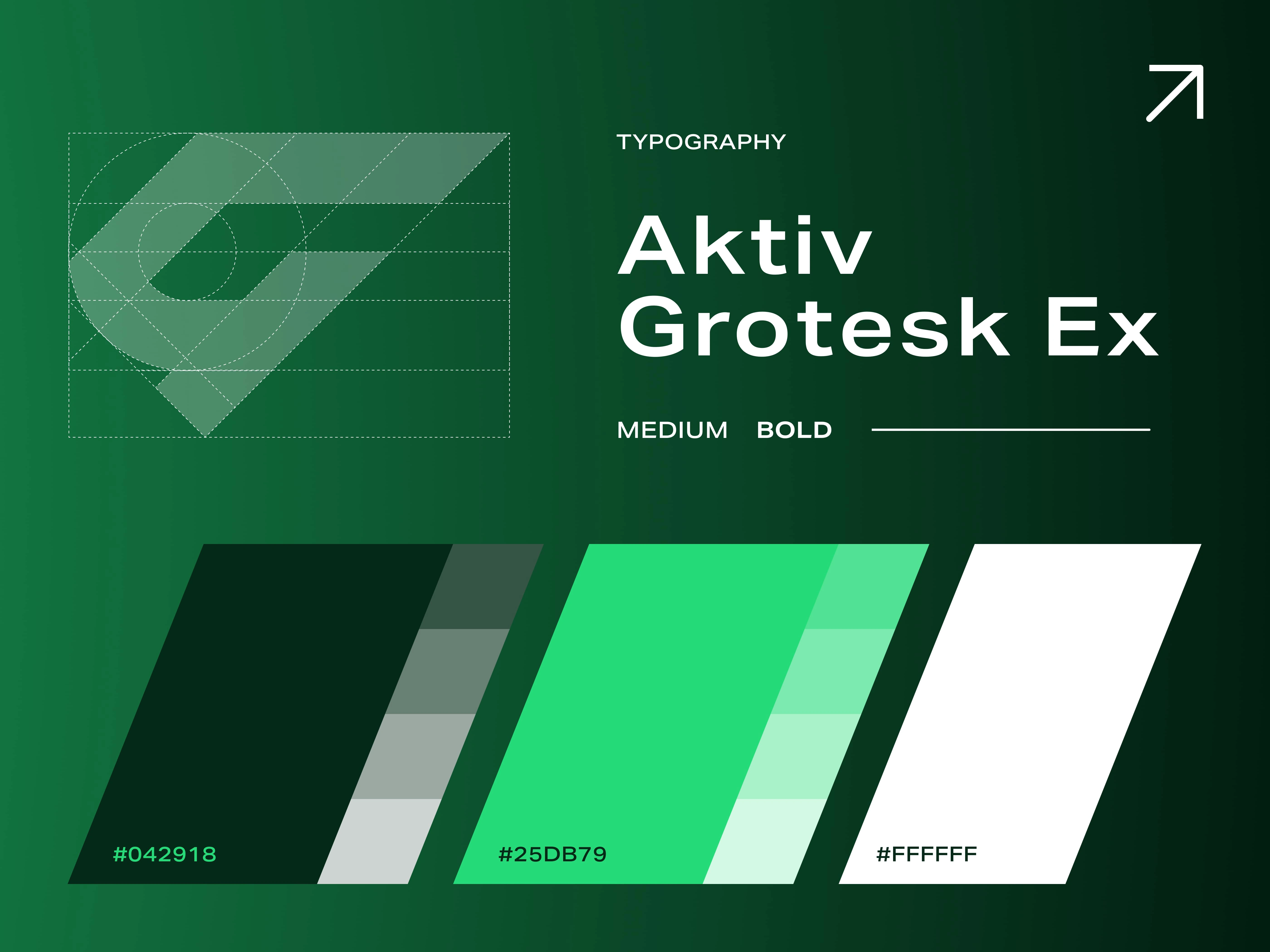 Typography and Color Pallete