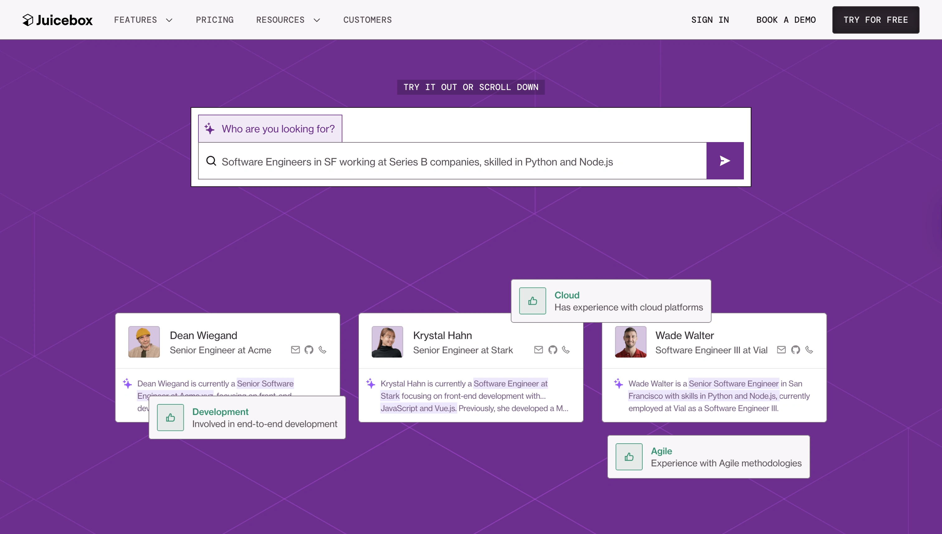 full-screen section with interactive search bar and scroll animations