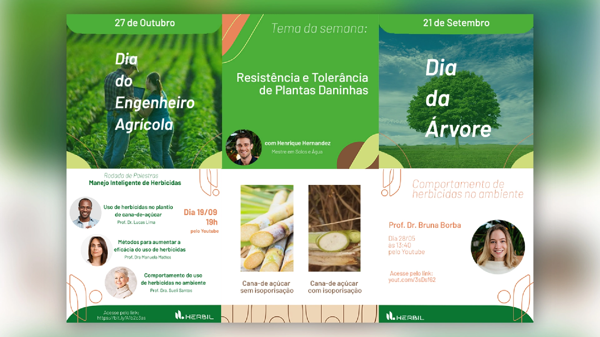 Social media feed posts.