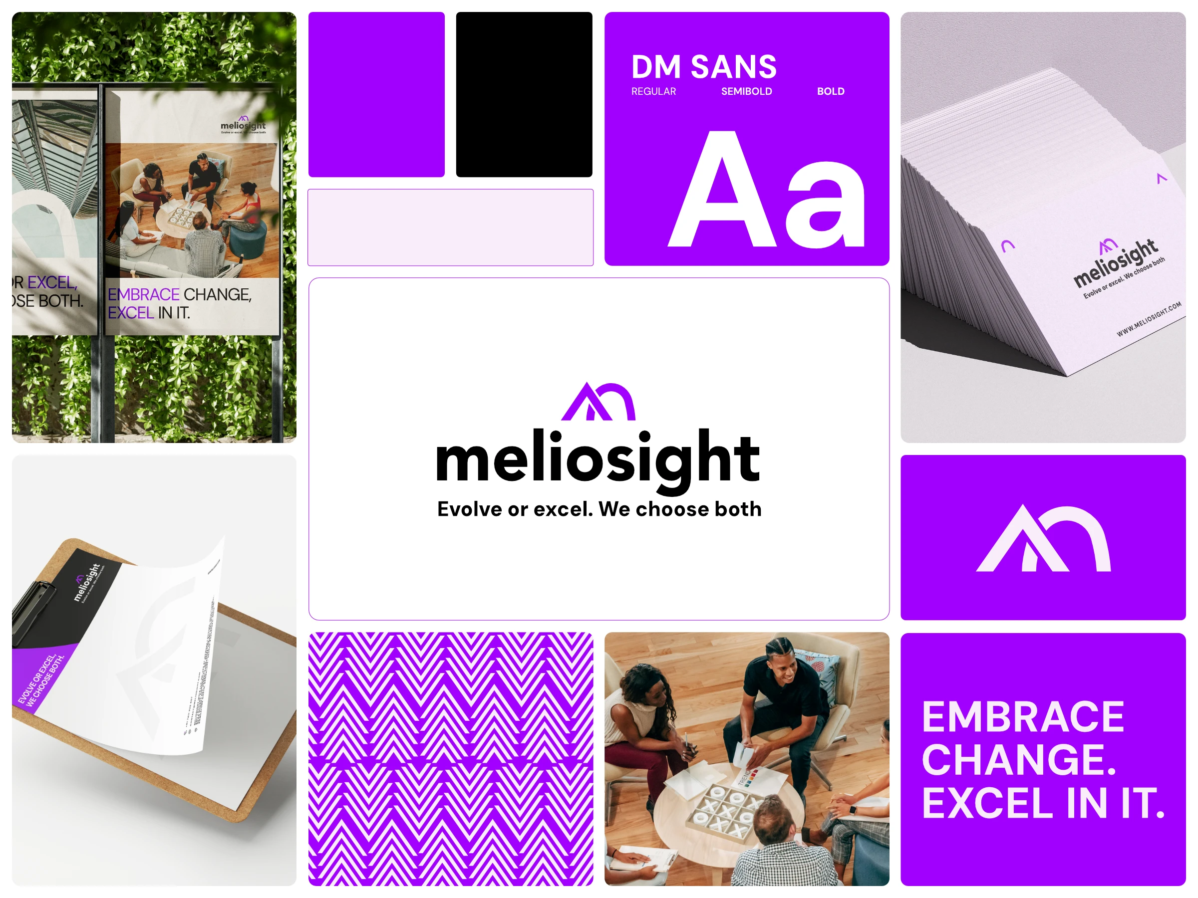 Meliosight ® 2024
