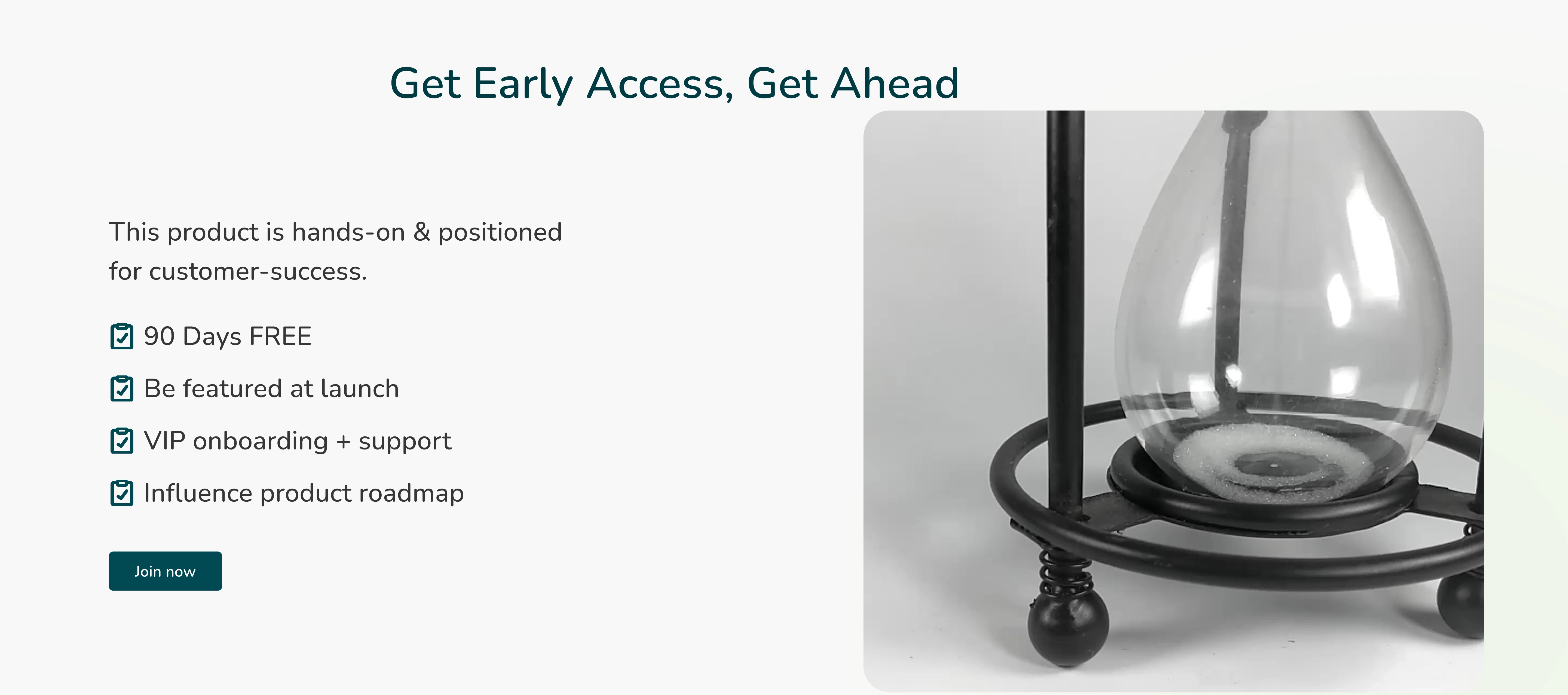 Early access section of landing page
