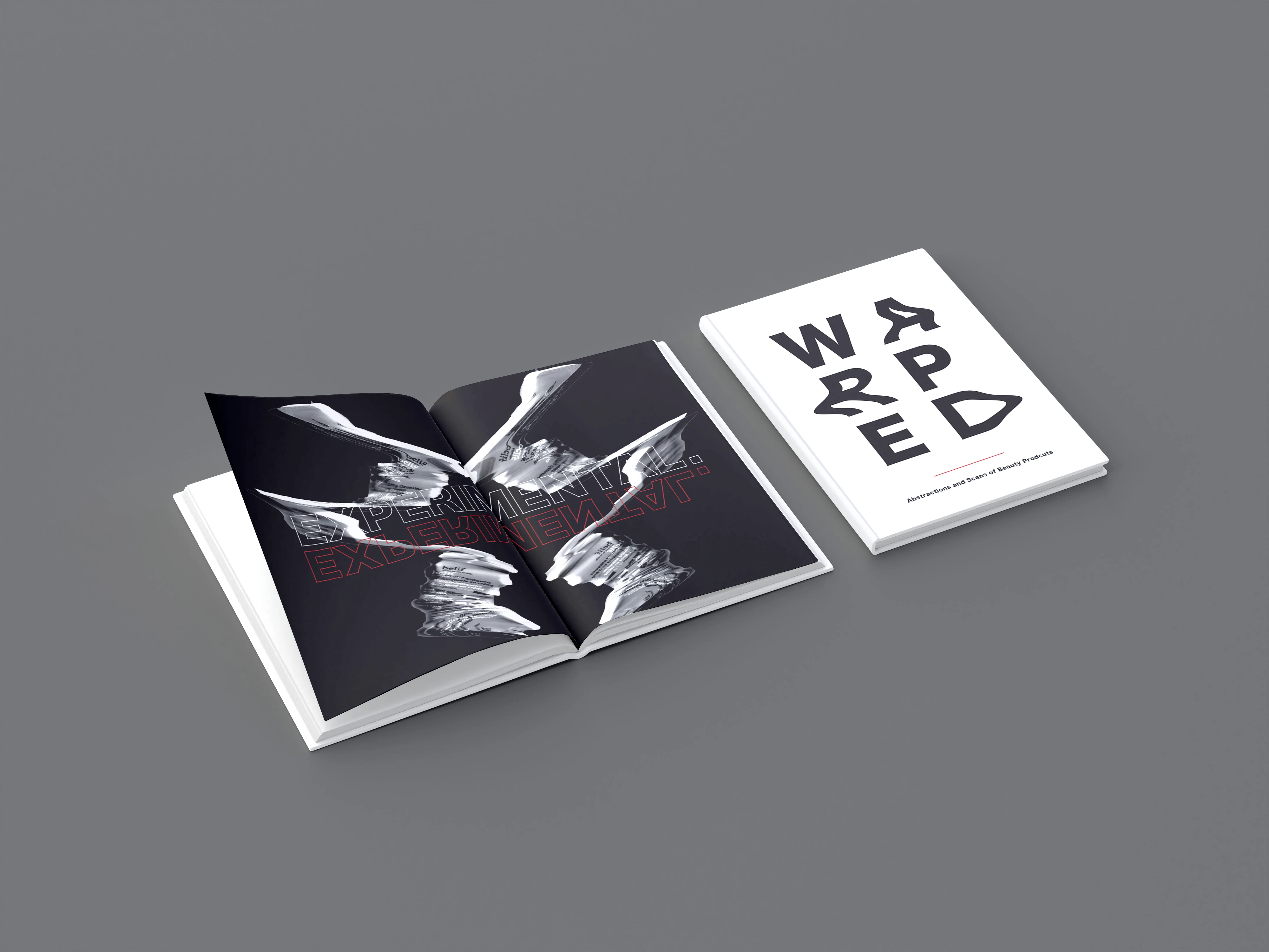 Magazine Mockup: WAPRED