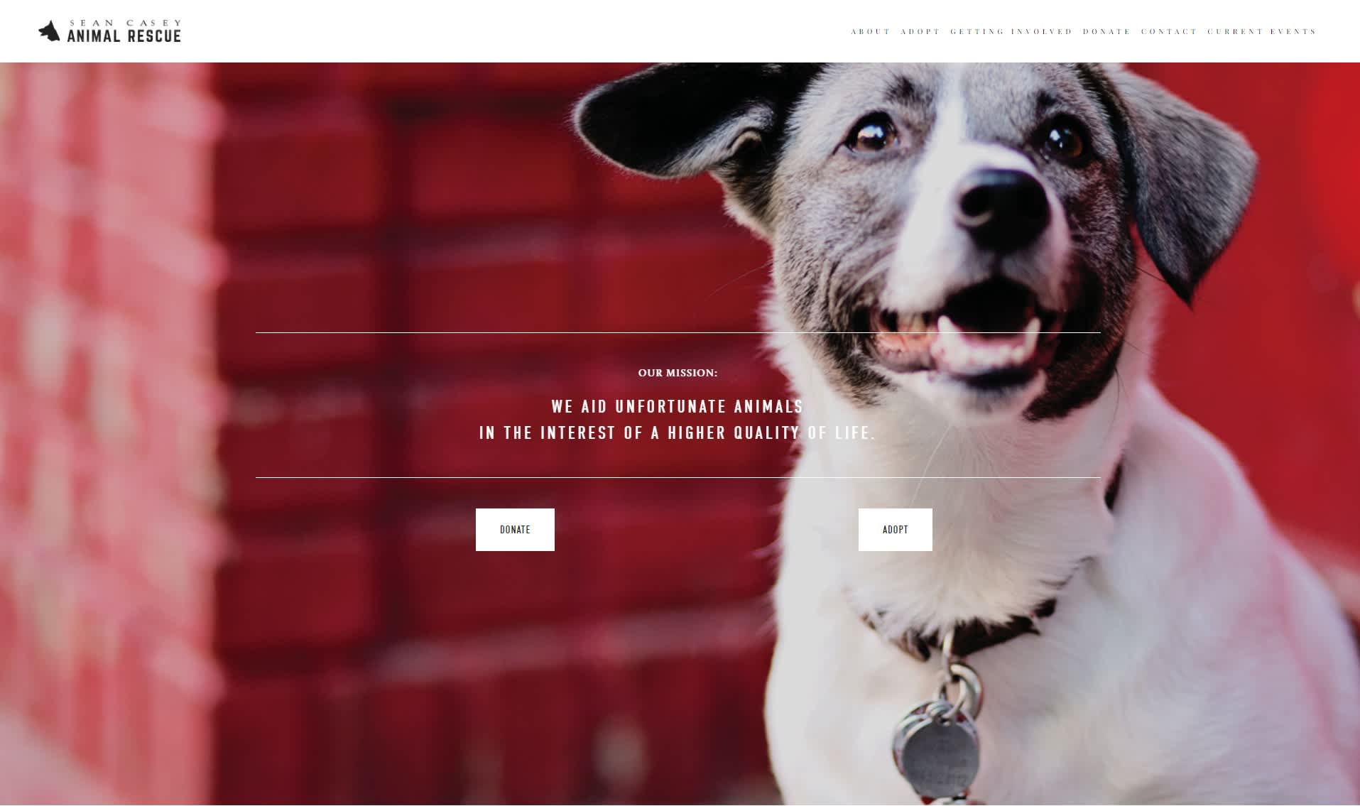Placeholder project card media