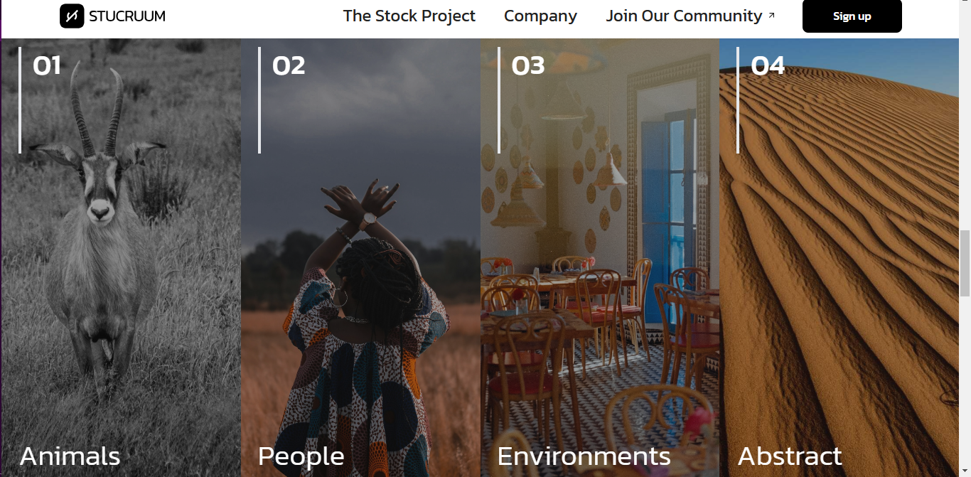 Placeholder project card media