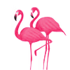 Caribbean Tours logo