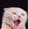 Krunal's avatar